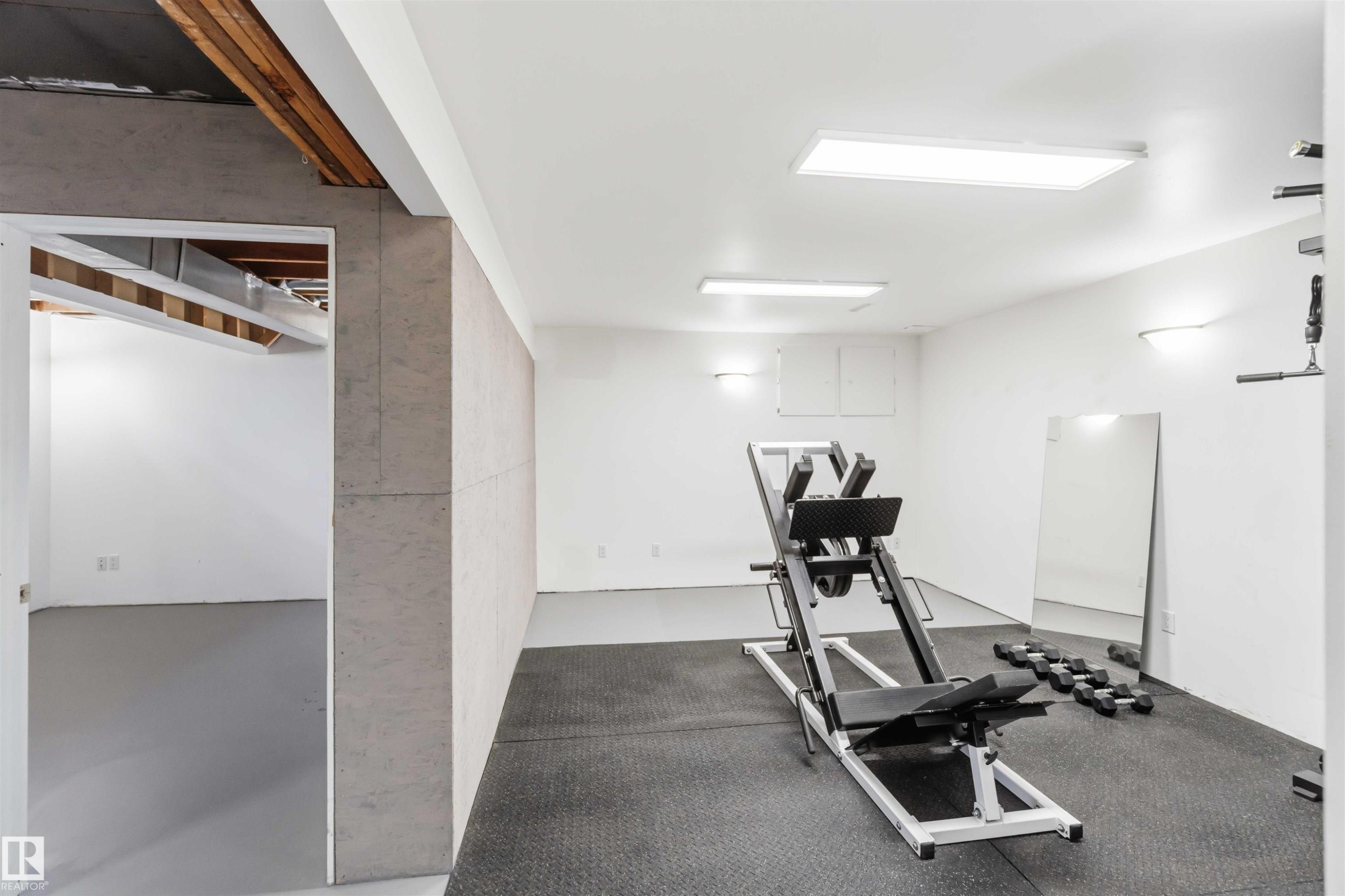 17919 94 Avenue, Edmonton, AB - Indoor Photo Showing Gym Room