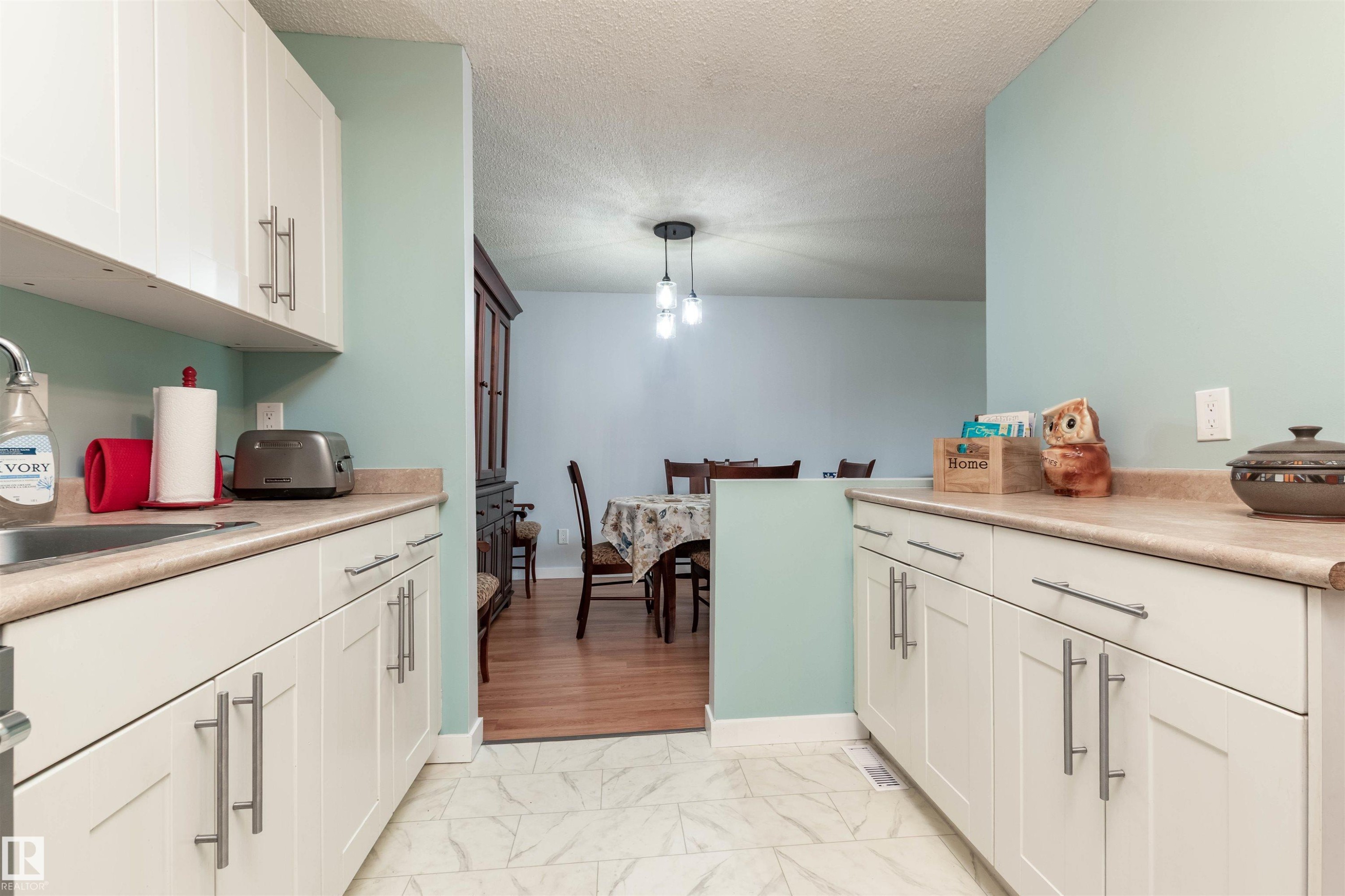 2109 Saddleback Road Nw, Edmonton, AB - Indoor Photo Showing Kitchen