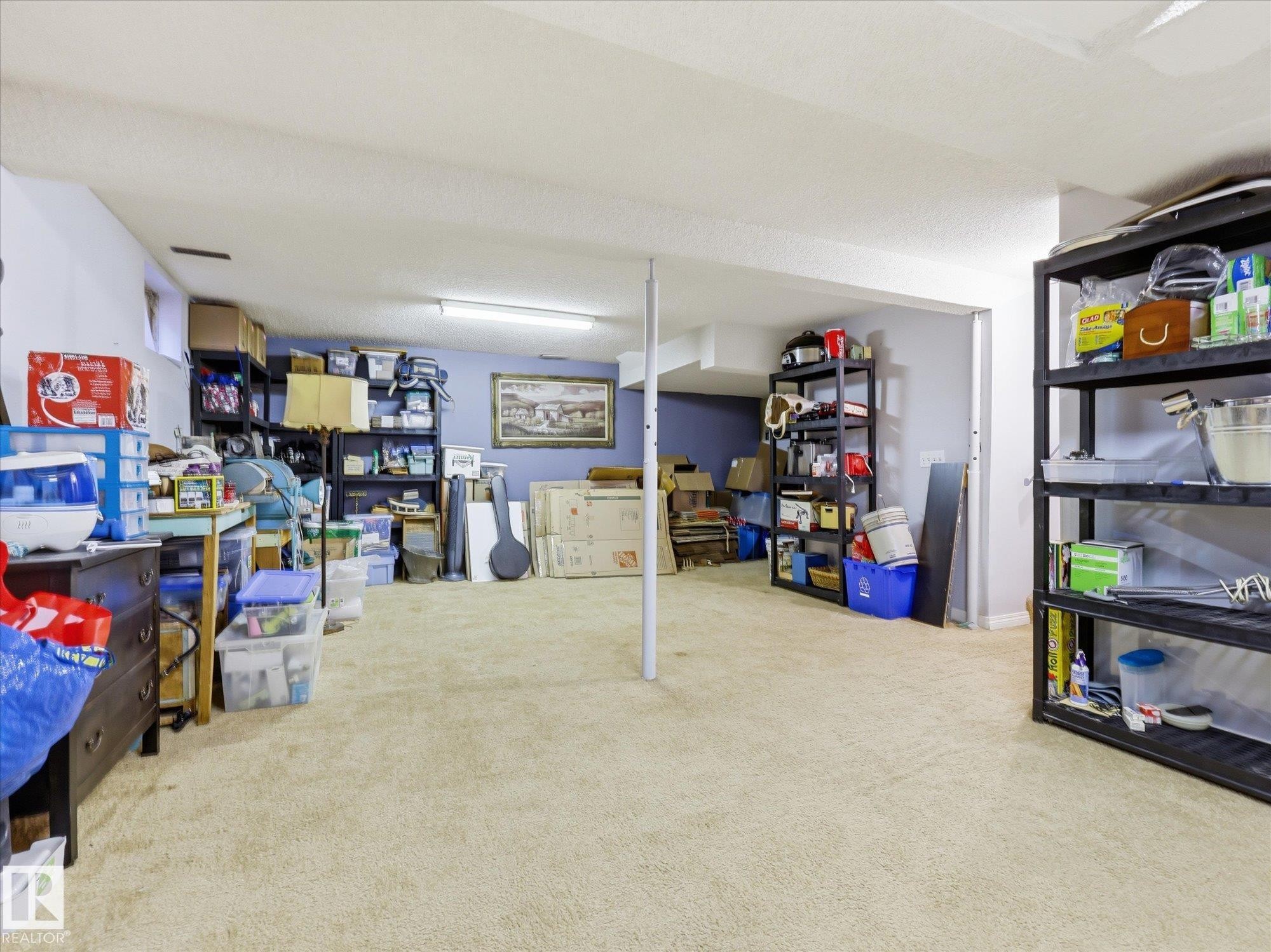 Spacious lower-level area with carpeting and painted walls - 18627 62A Avenue, Edmonton, AB - Indoor