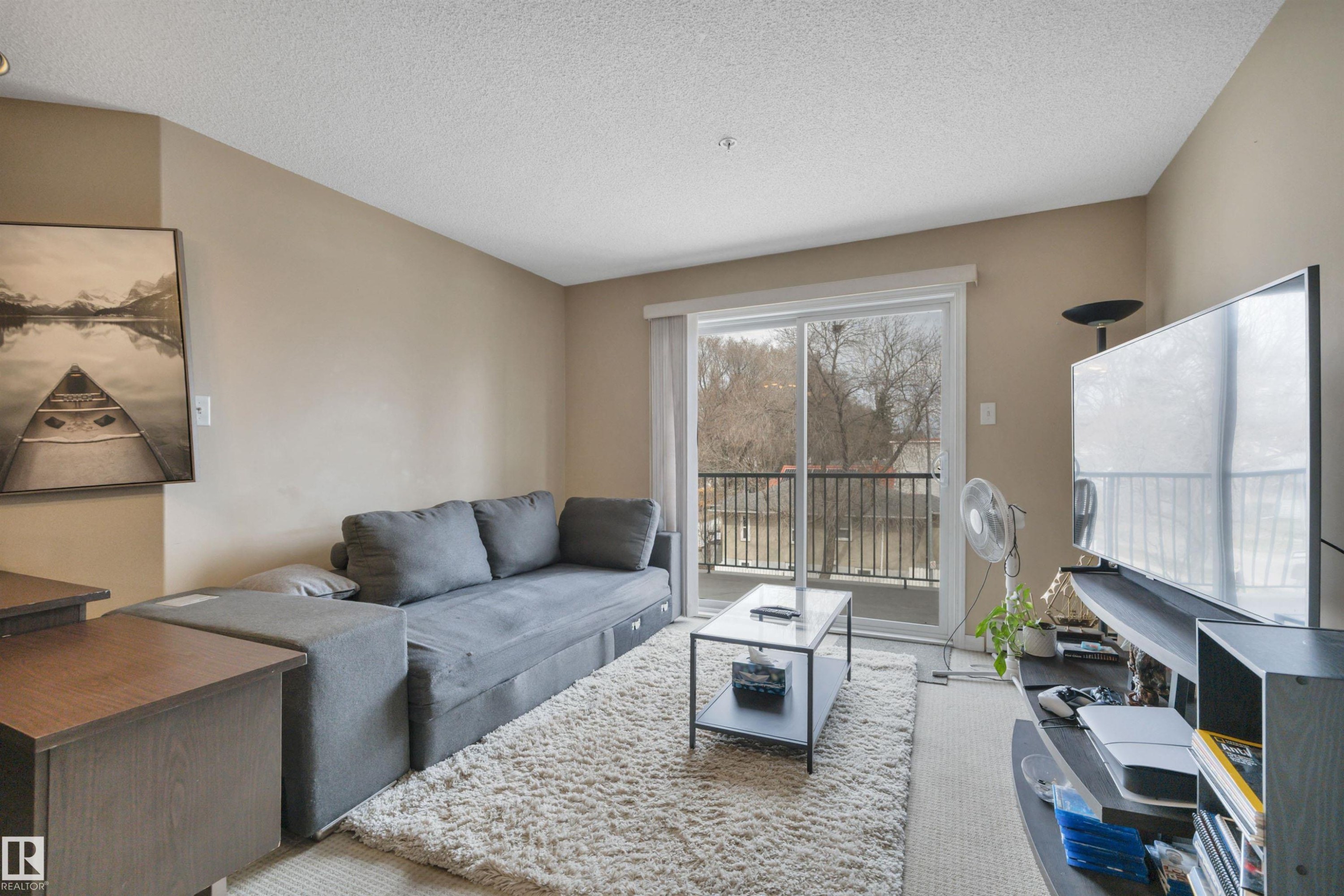 #326 11325 83 St Nw, Edmonton, AB - Indoor Photo Showing Living Room