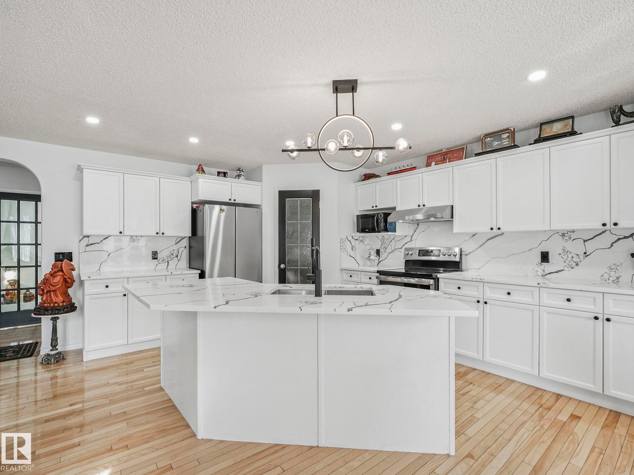 20115 46 Avenue, Edmonton, AB - Indoor Photo Showing Kitchen With Upgraded Kitchen