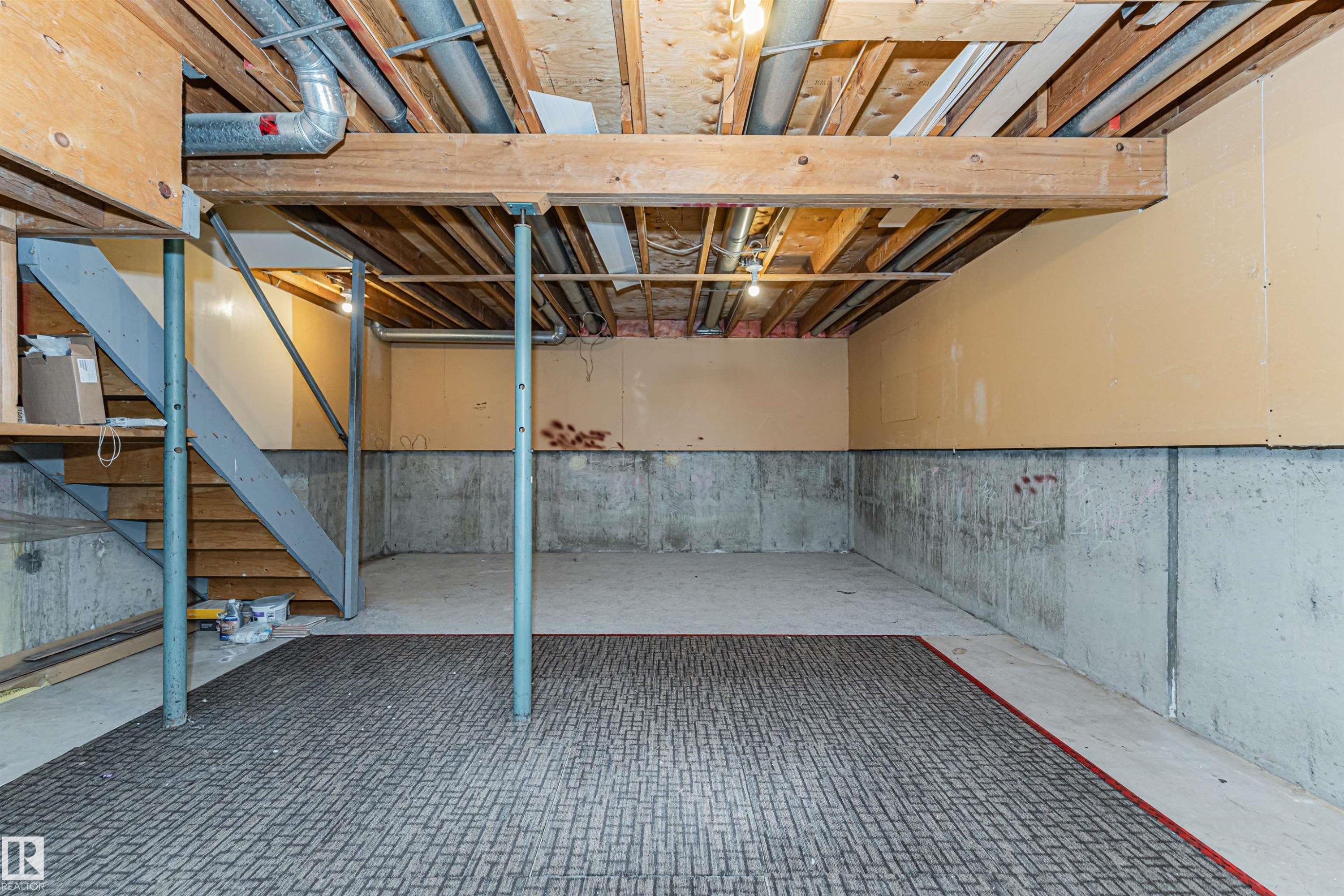18425 95A Avenue, Edmonton, AB - Indoor Photo Showing Basement