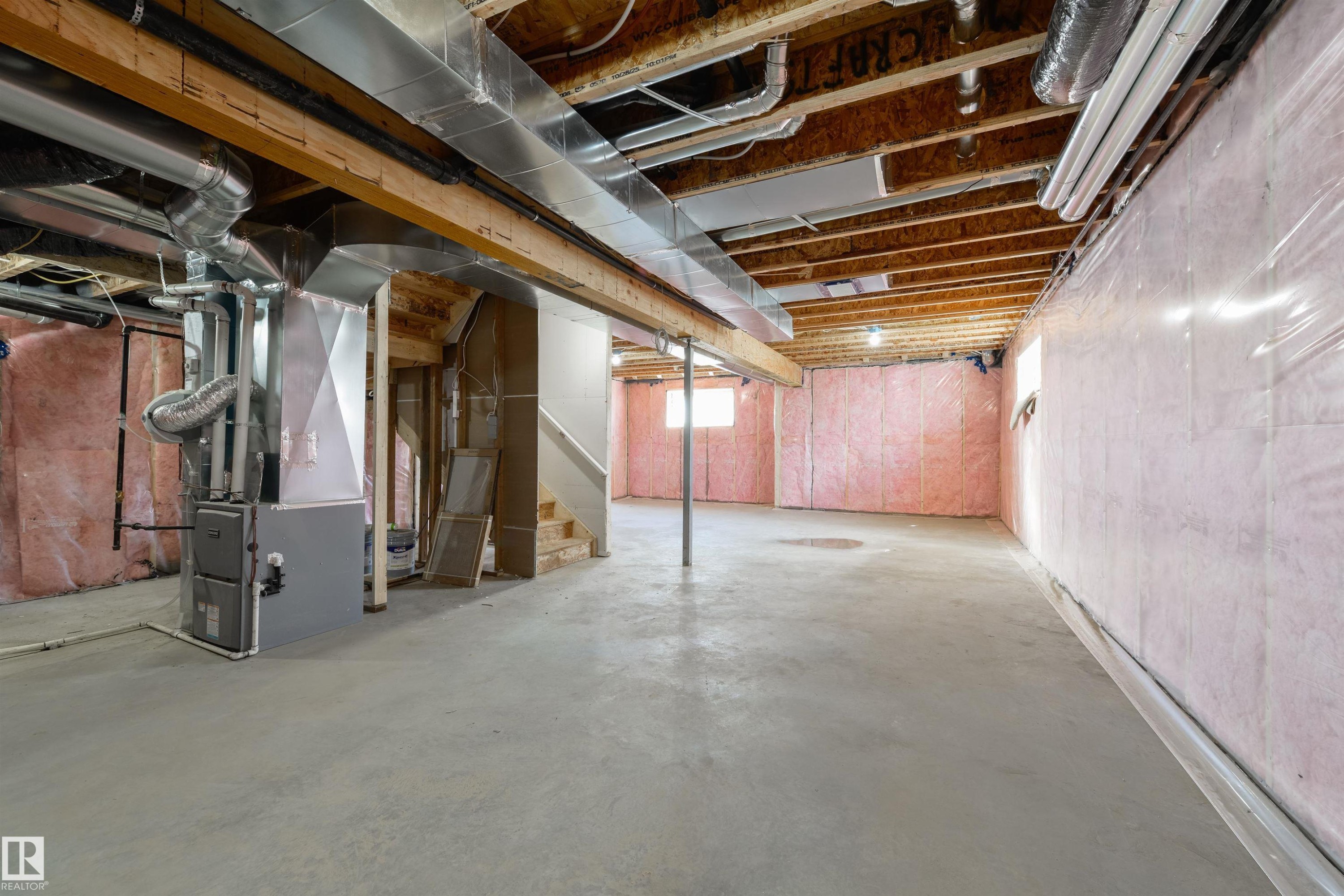 1443 Osprey Crest Nw, Edmonton, AB - Indoor Photo Showing Basement