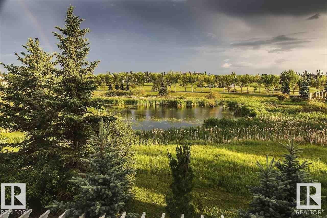 Naturalized wetland reserve nearby - 1004 Hollands Point(E), Edmonton, AB - Outdoor With View