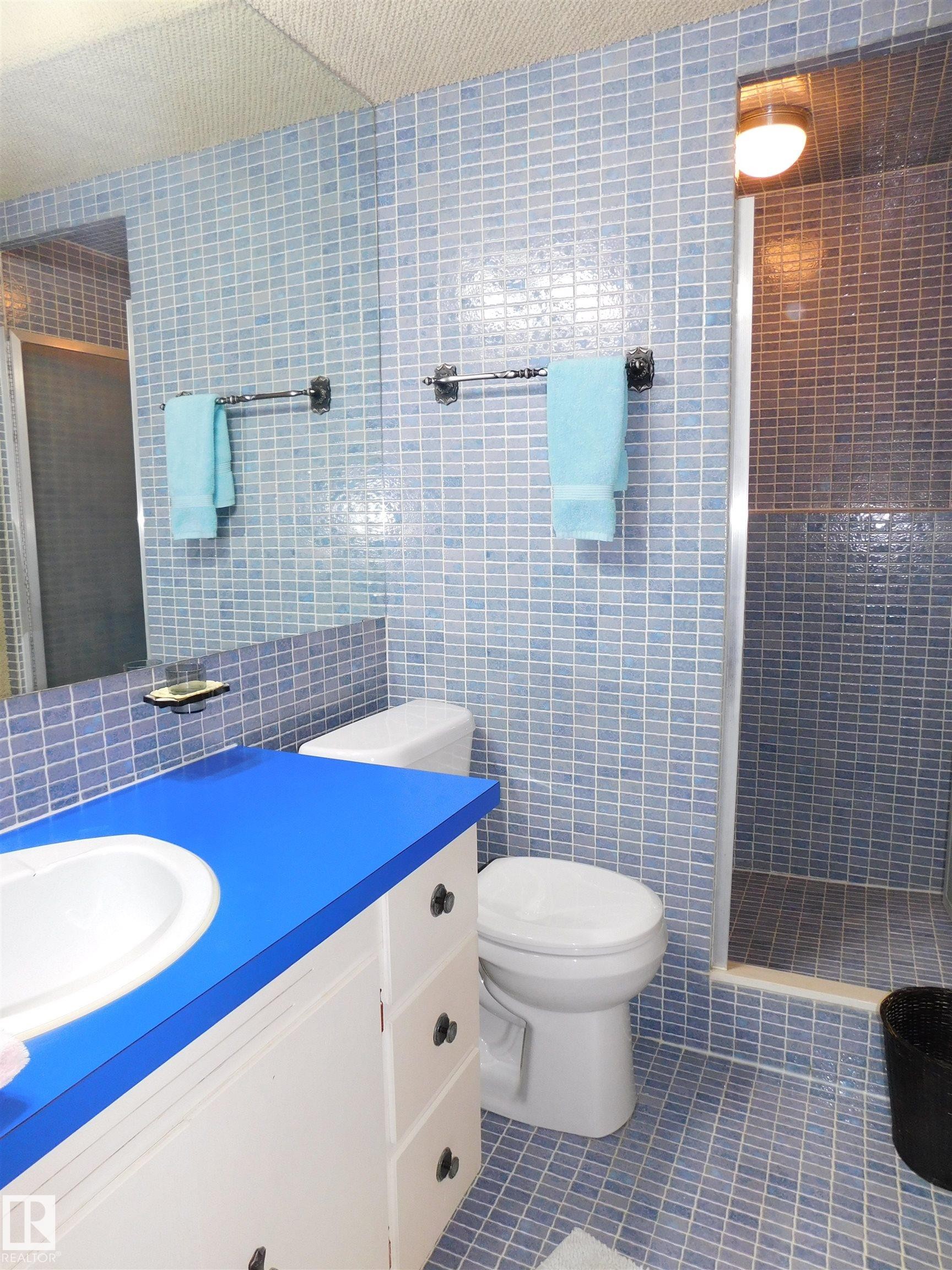 10908 30 Street, Edmonton, AB - Indoor Photo Showing Bathroom