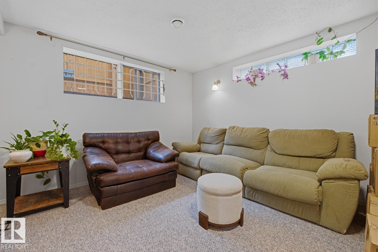 8754 Strathearn Drive Nw, Edmonton, AB - Indoor Photo Showing Living Room