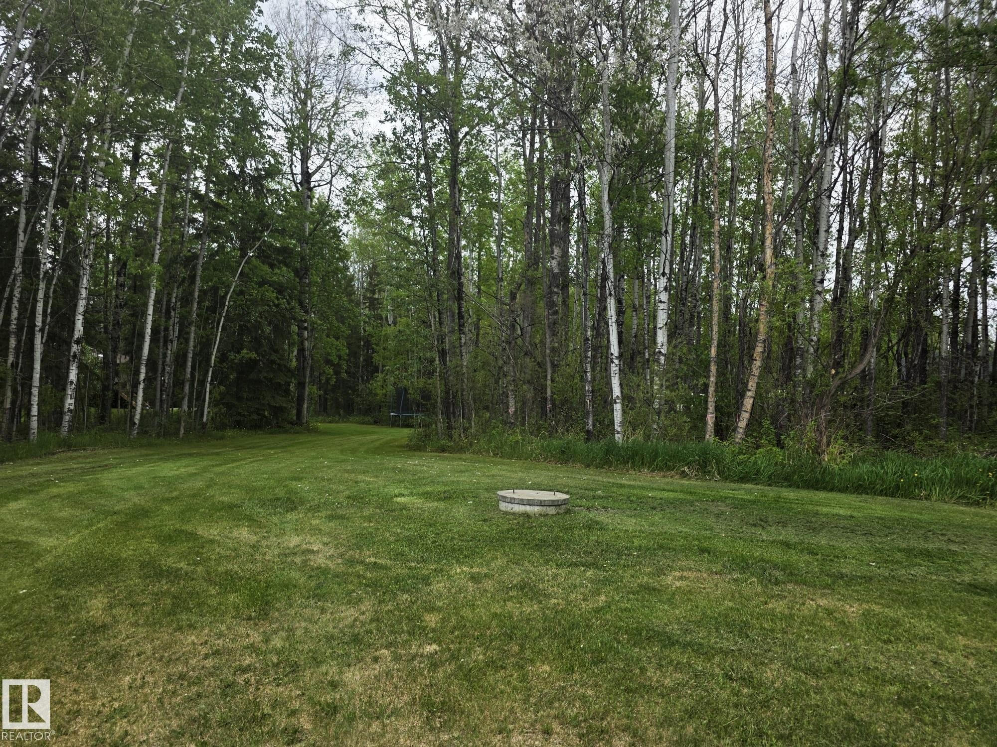 1, 49321 Range Road 72, Rural Brazeau County, AB - Outdoor