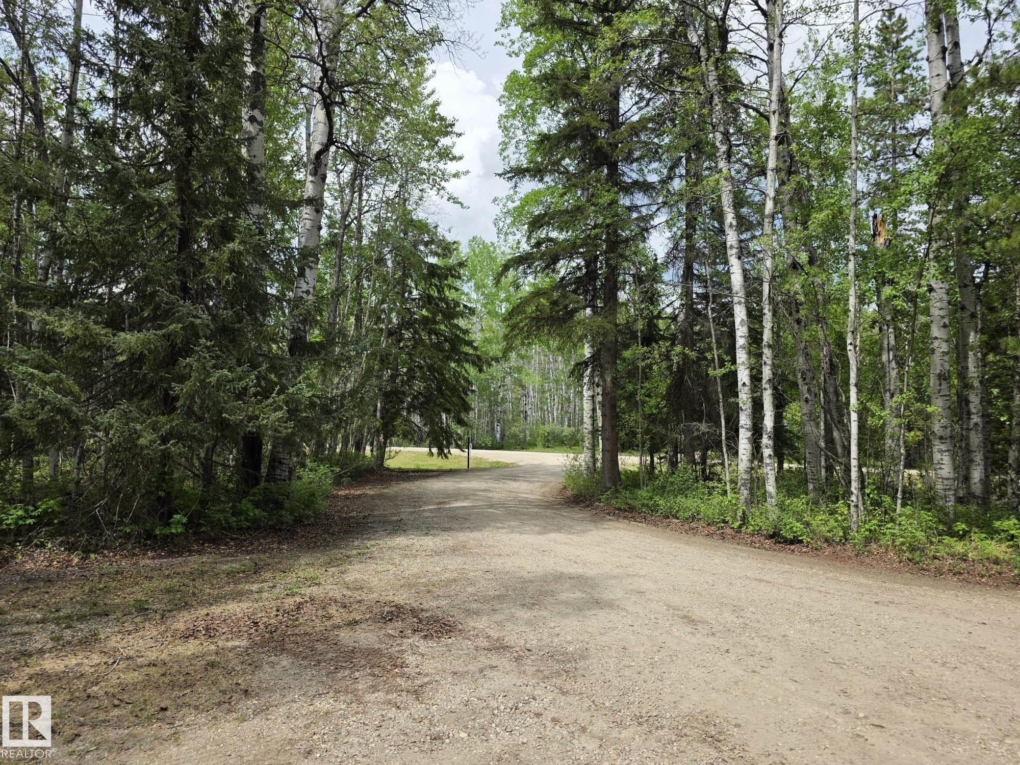 1, 49321 Range Road 72, Rural Brazeau County, AB - Outdoor