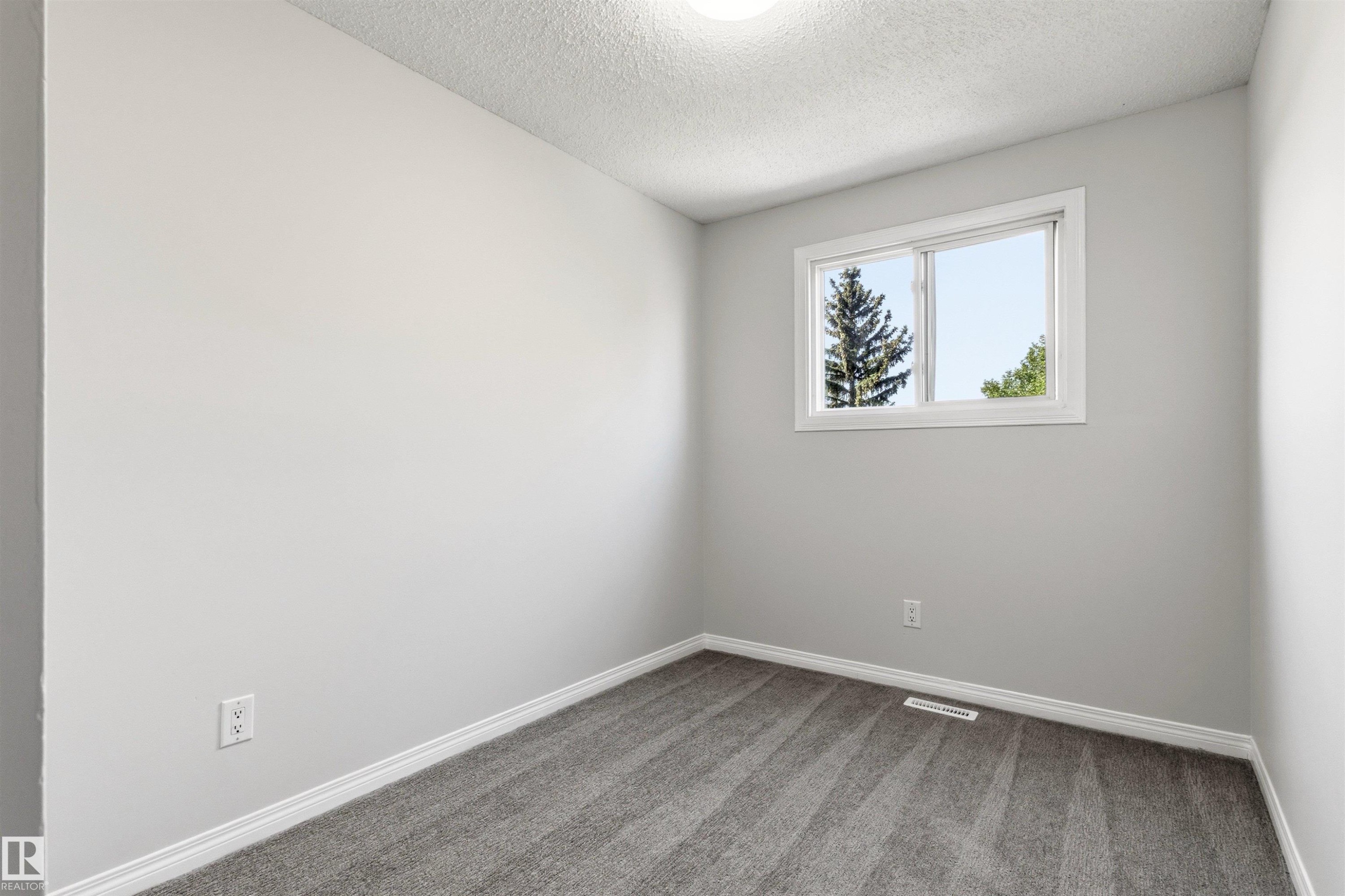 Neutral gray wall paint with white trim, gray patterned carpeting, and a white-framed window - 707 Clareview Road, Edmonton, AB - Indoor Photo Showing Other Room