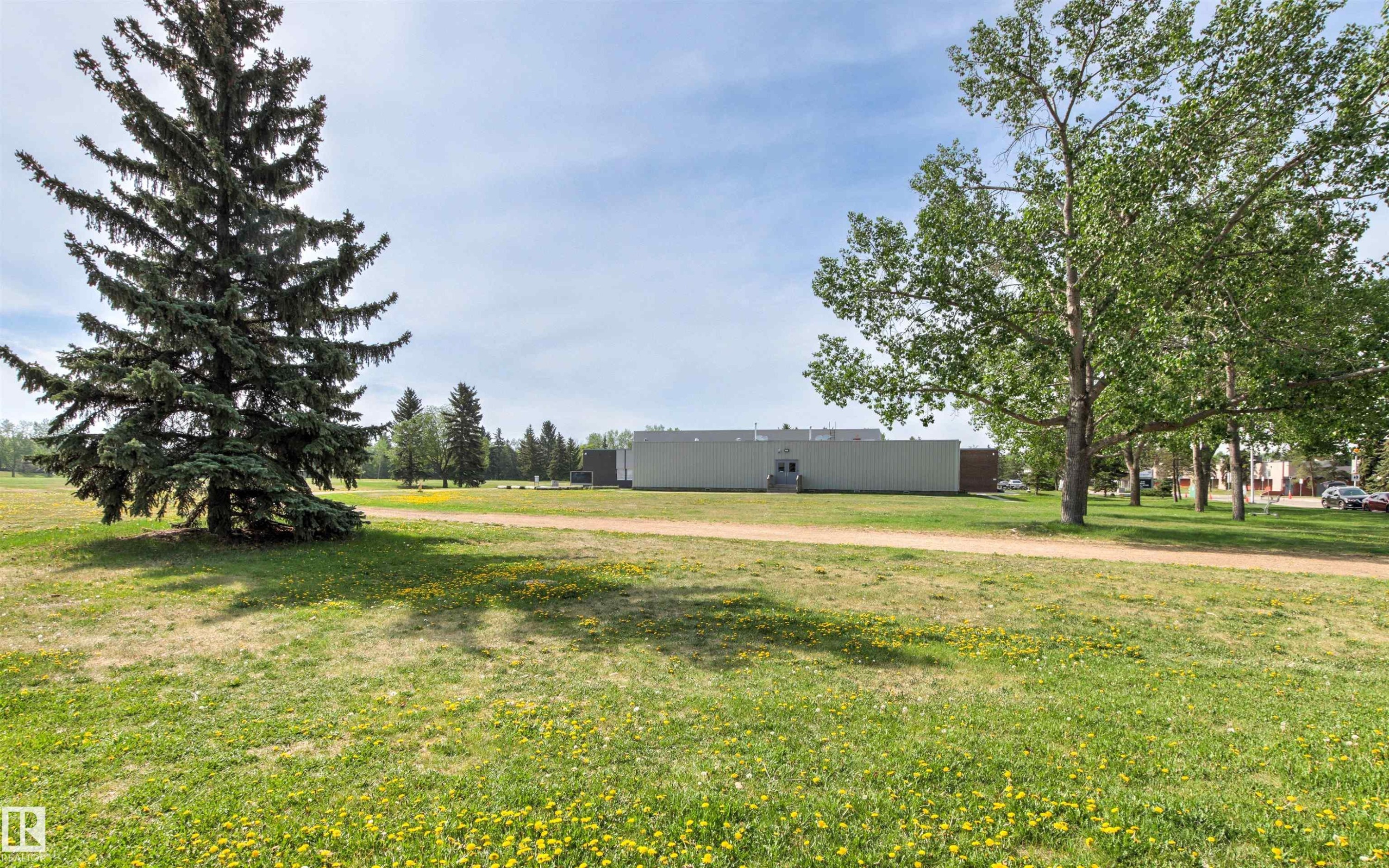 Expansive green space featuring a natural grass lawn, mature evergreen trees, and deciduous trees - 707 Clareview Road, Edmonton, AB - Outdoor