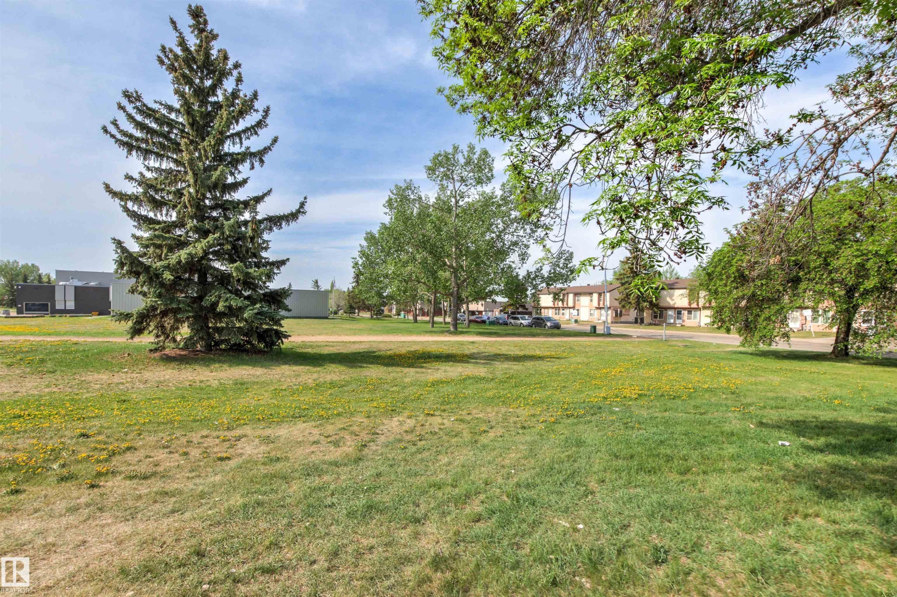 Expansive green space featuring a large evergreen tree and scattered deciduous trees - 707 Clareview Road, Edmonton, AB - Outdoor With View