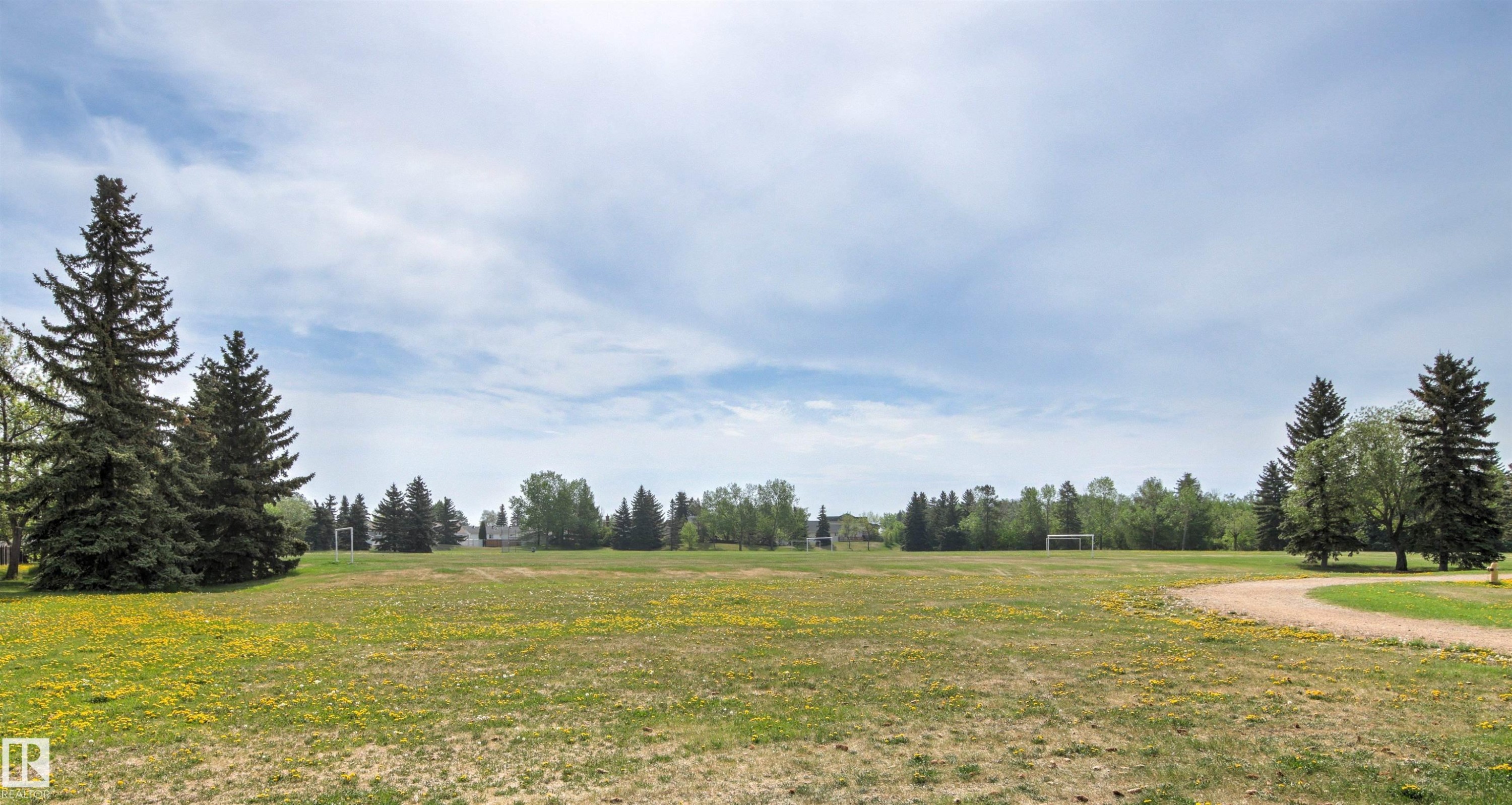 Expansive green space featuring mature evergreen trees and a winding dirt path - 707 Clareview Road, Edmonton, AB - Outdoor With View