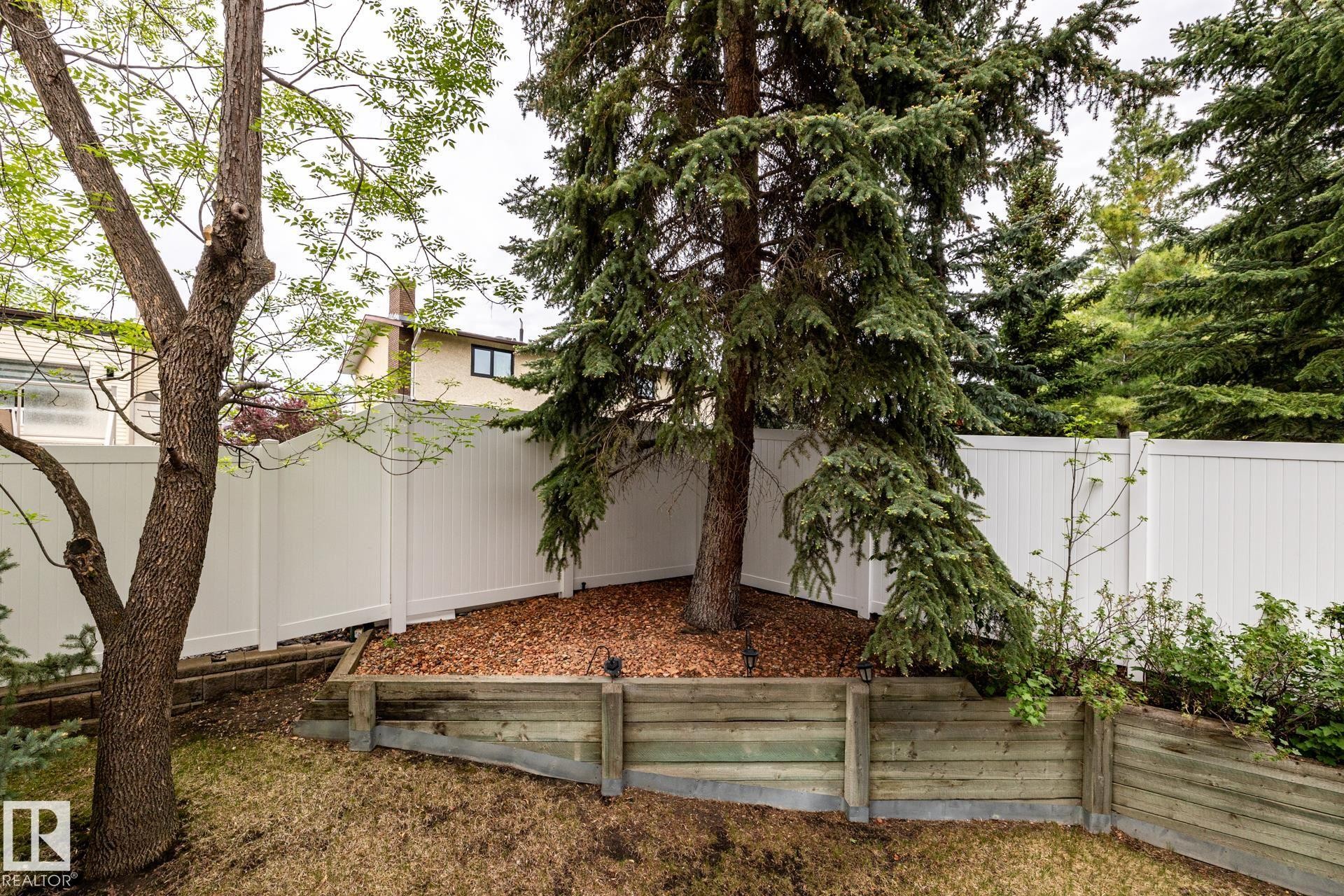 Sloping backyard featuring a white privacy fence, mature evergreen trees, a deciduous tree, wood retaining walls, and a mulched garden bed - 4632 151 Street, Edmonton, AB - Outdoor