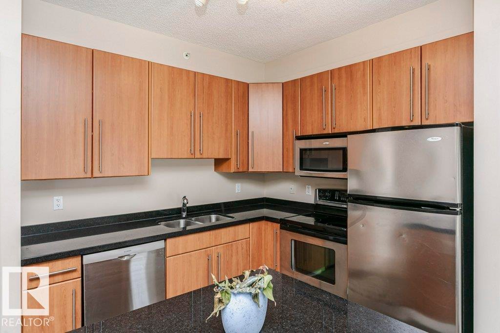 103 9819 104 Street, Edmonton, AB - Indoor Photo Showing Kitchen With Stainless Steel Kitchen With Double Sink