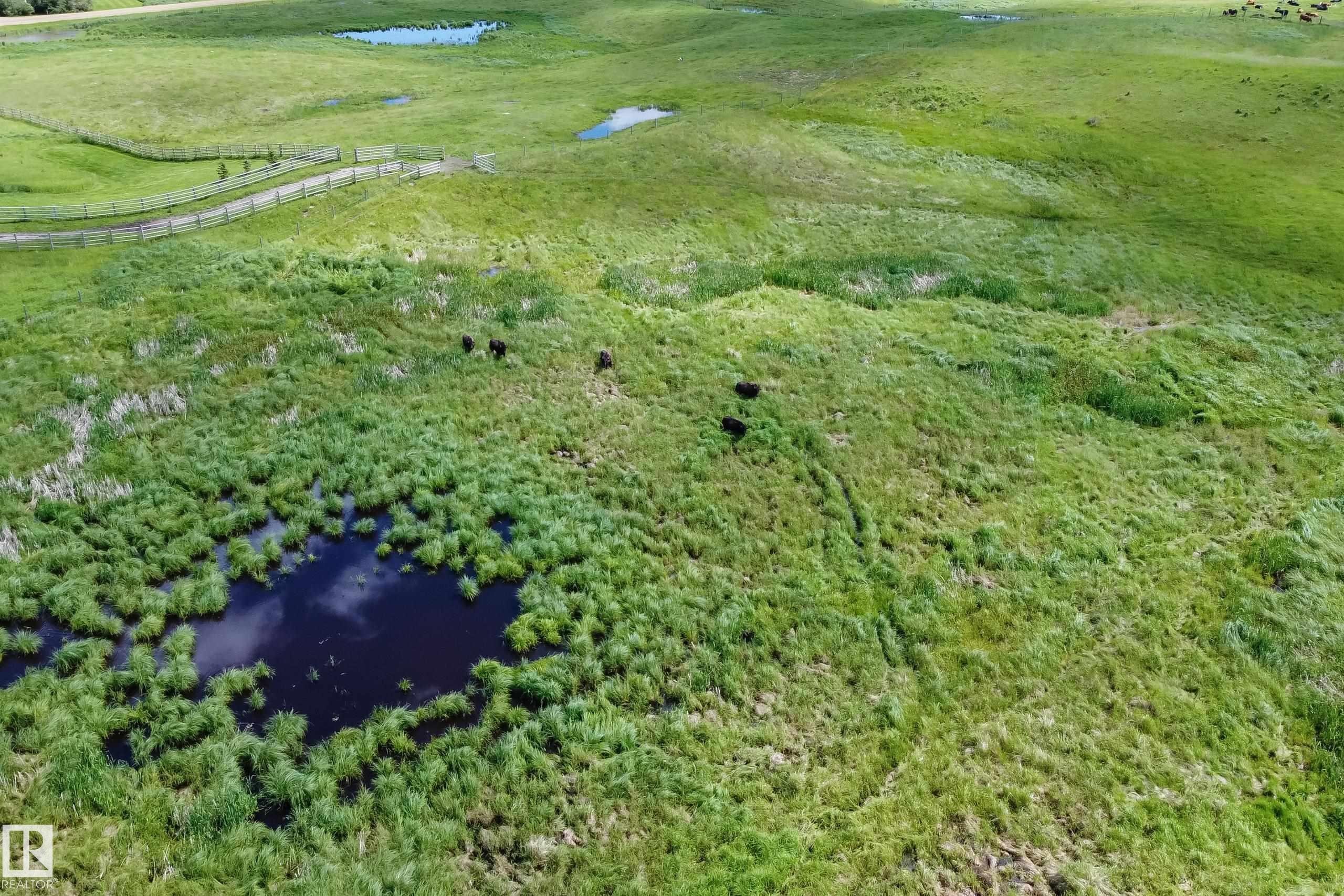 52430 Rr 192, Rural Beaver County, AB - Outdoor