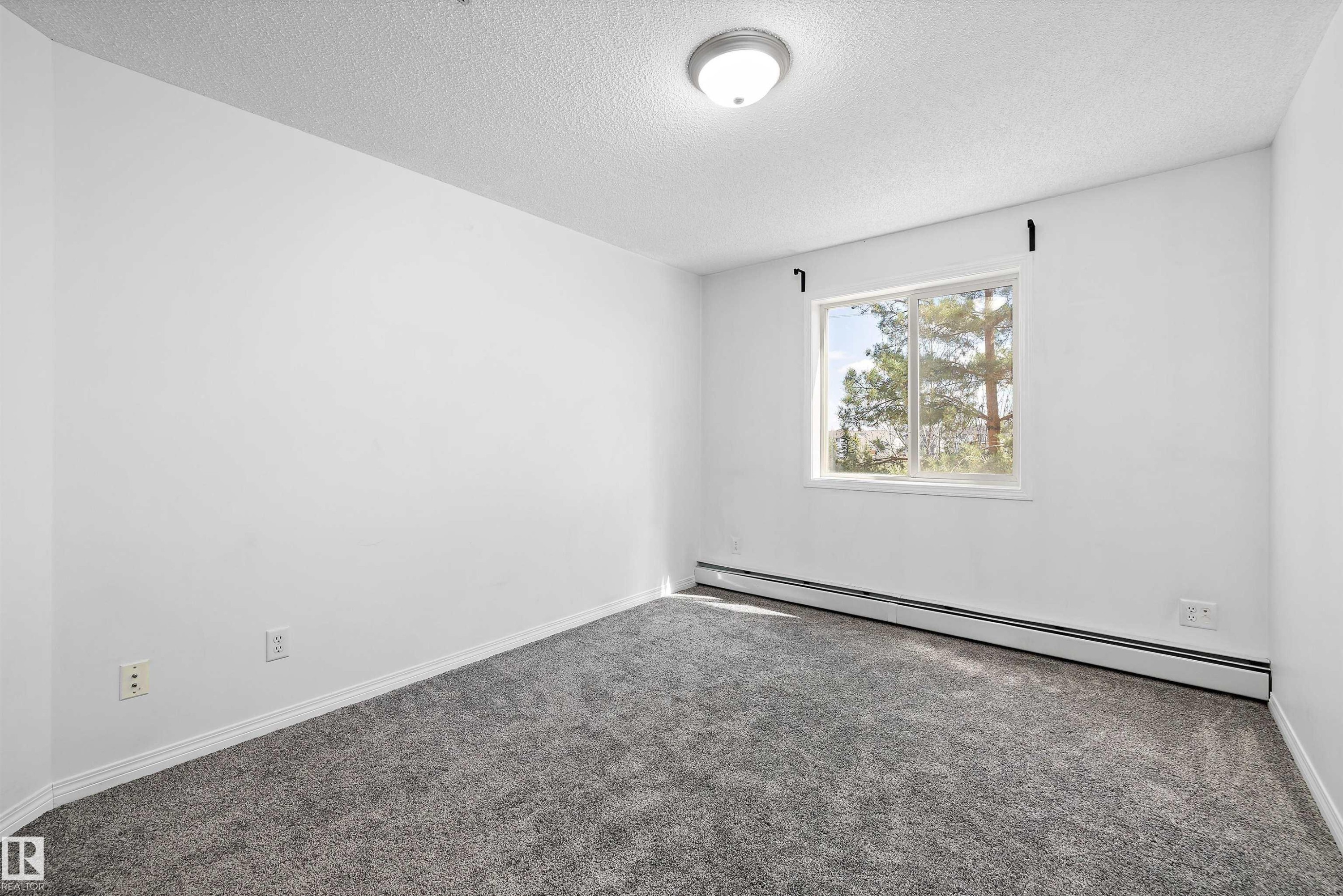 Carpeted room featuring a window with exterior tree scenery, white walls, baseboard trim, and a ceiling-mounted light fixture - 320 245 Edwards Drive, Edmonton, AB
