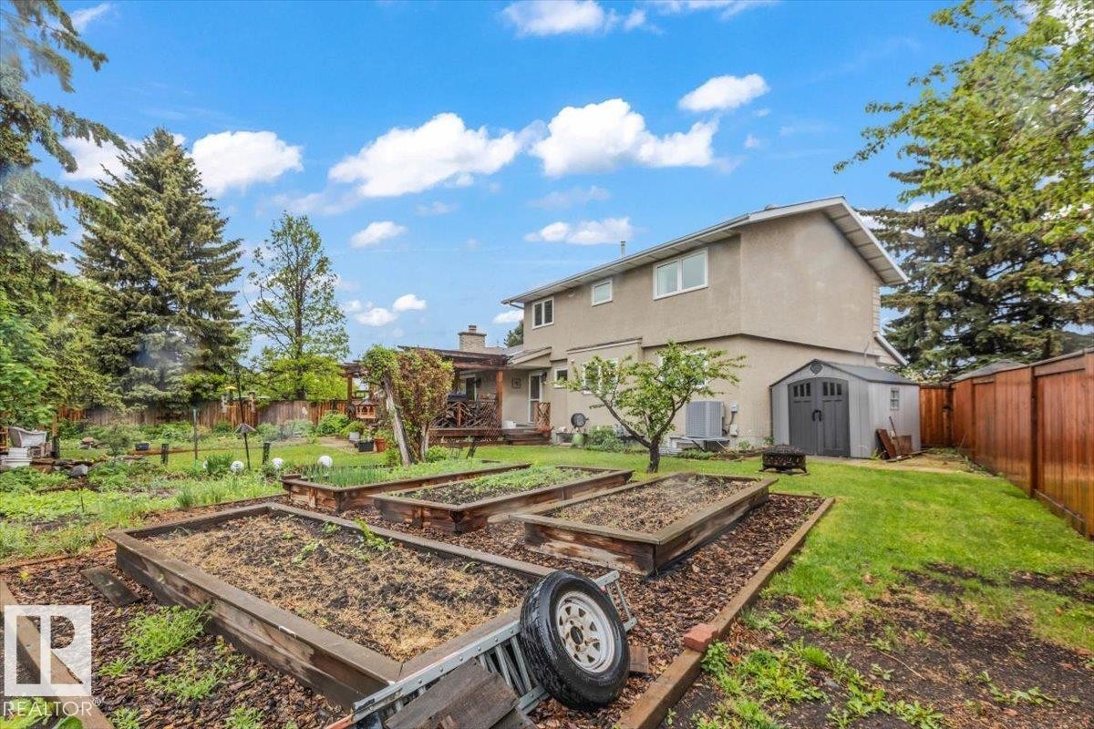 Expansive backyard featuring multiple raised garden beds, a storage shed, and mature trees - 6720 29 Avenue, Edmonton, AB
