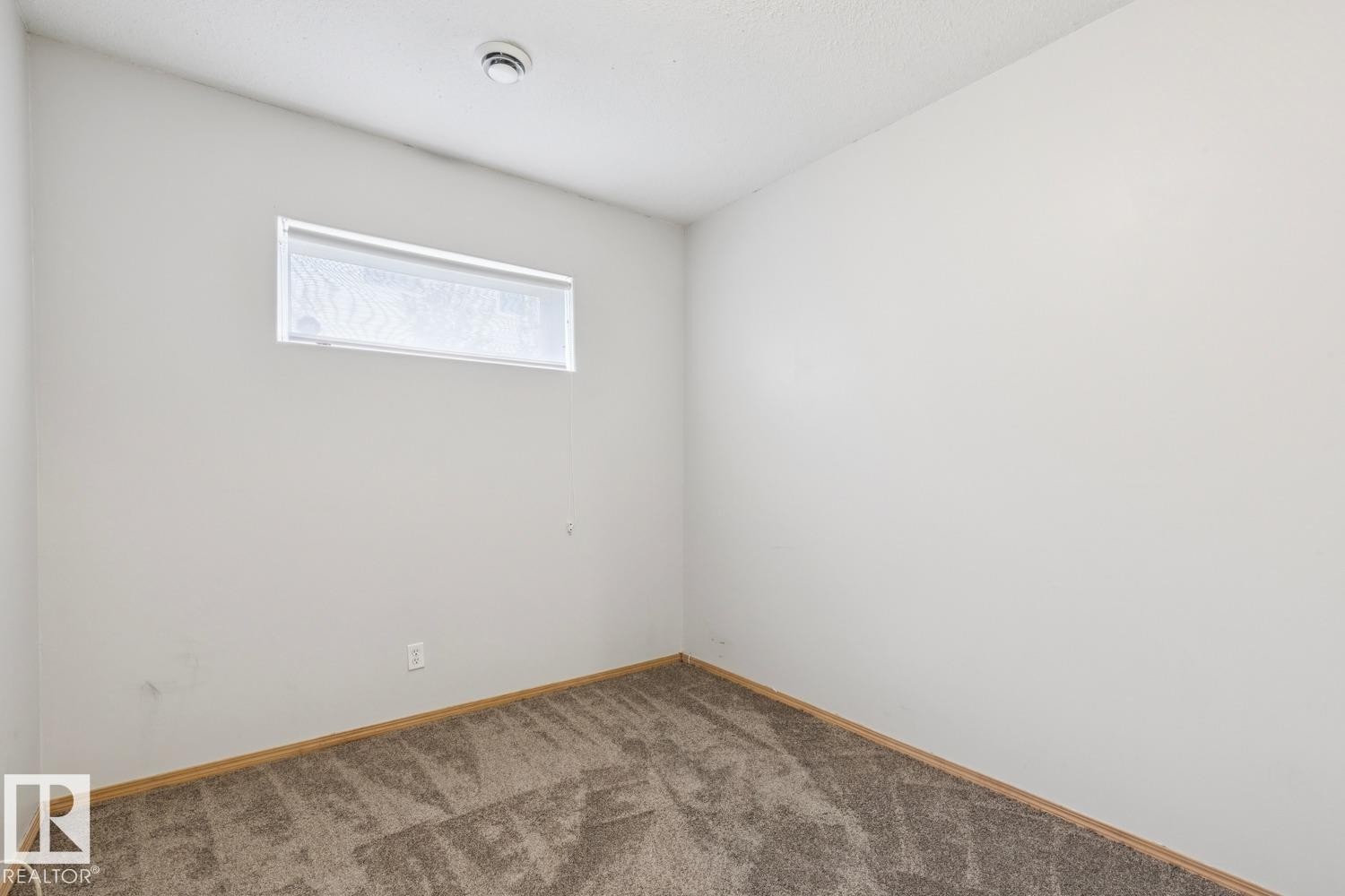 Neutral tone walls complemented by carpet flooring and wood-finish baseboards - 1 225 Blackburn Drive E, Edmonton, AB