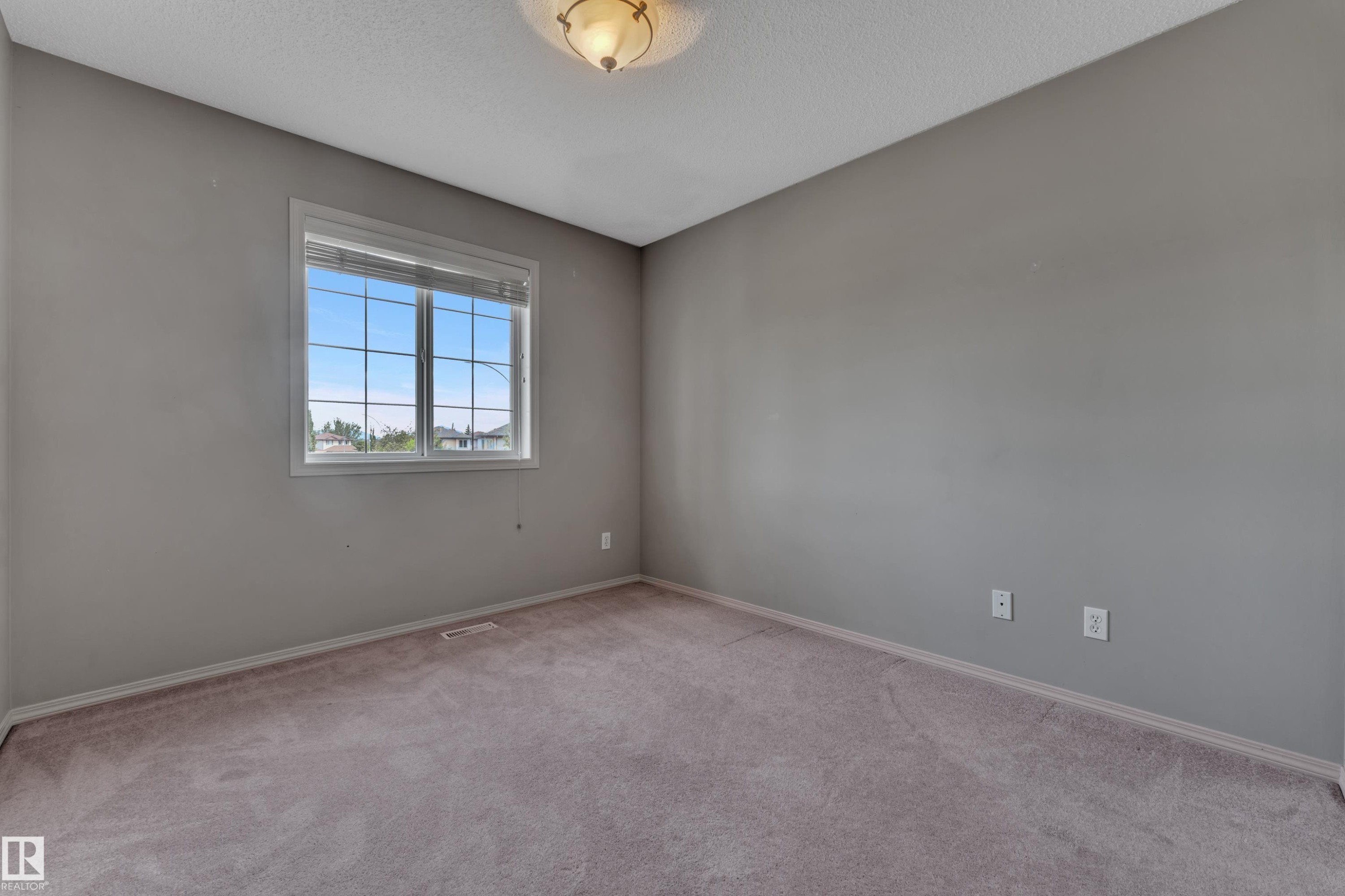 Neutral gray walls complement the textured neutral carpeting - 14031 136 Street, Edmonton, AB