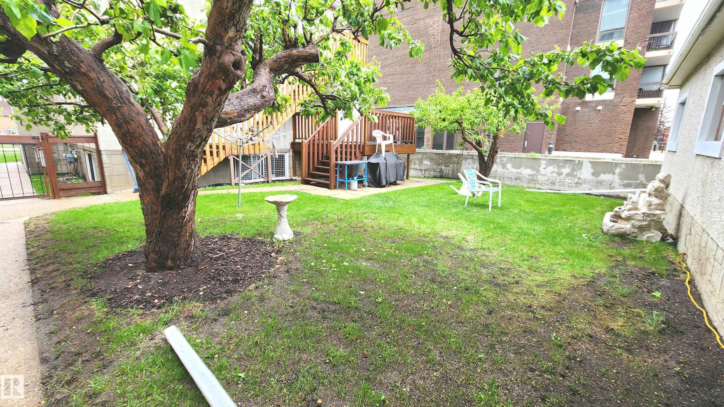 Expansive yard space featuring a mature tree with foliage, a tiered wooden deck, a paved walkway, a concrete retaining wall, and a decorative rock feature - 10017 113 Street, Edmonton, AB