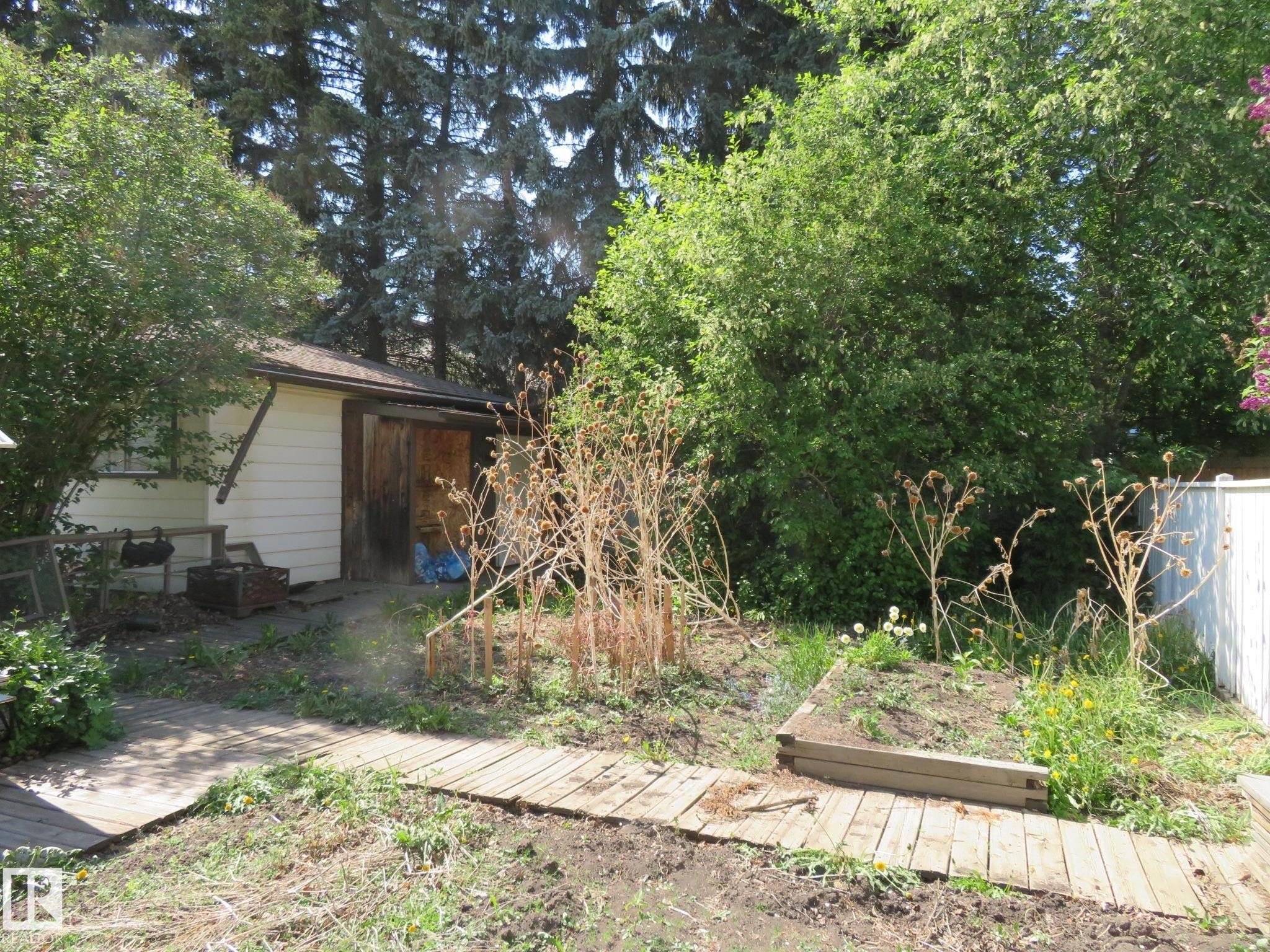 Detached shed with white siding and a brown roof, featuring a wooden door opening - 10720 57 Avenue Nw, Edmonton, AB - Outdoor