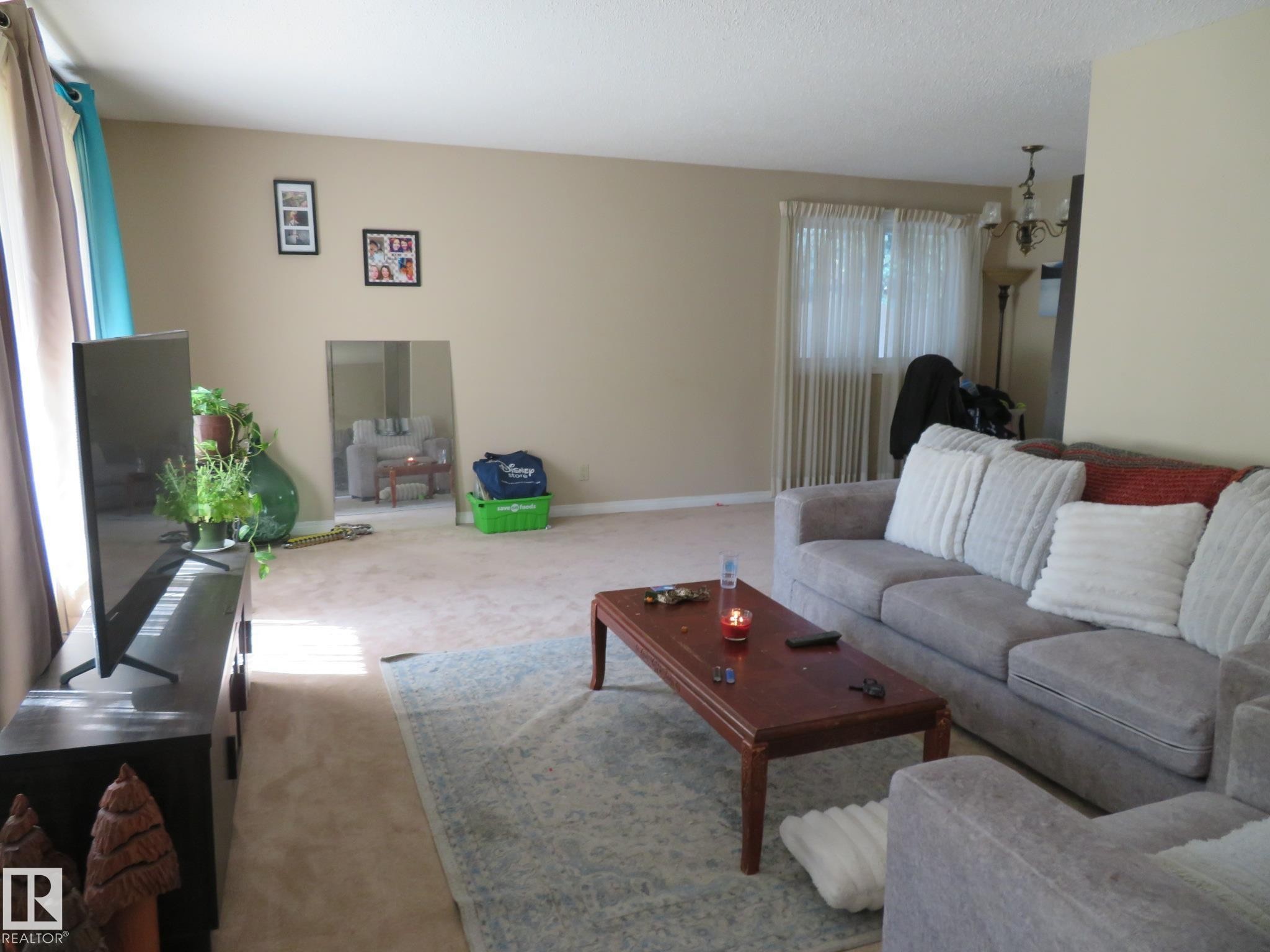 Carpeted living area featuring light-toned walls and multiple windows for natural illumination - 10720 57 Avenue Nw, Edmonton, AB - Indoor Photo Showing Living Room