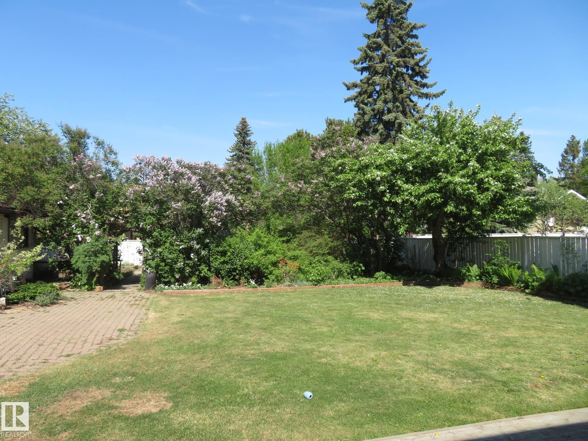 Expansive backyard featuring a large grass lawn - 10720 57 Avenue Nw, Edmonton, AB - Outdoor