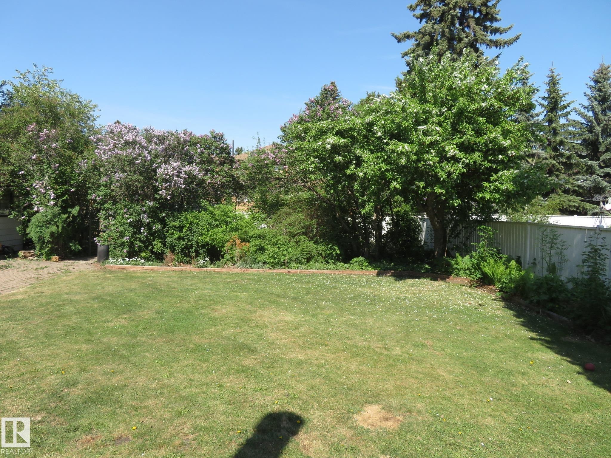 Expansive green lawn surrounded by mature trees and varied foliage - 10720 57 Avenue Nw, Edmonton, AB - Outdoor