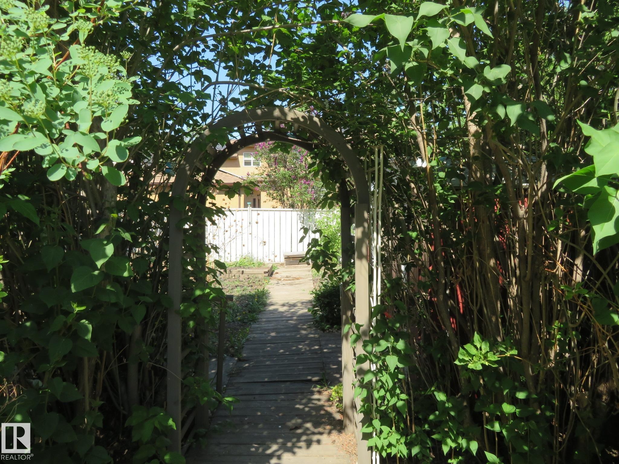 Garden archway with overgrown foliage, leading to a wooden pathway and white picket fence - 10720 57 Avenue Nw, Edmonton, AB - Outdoor
