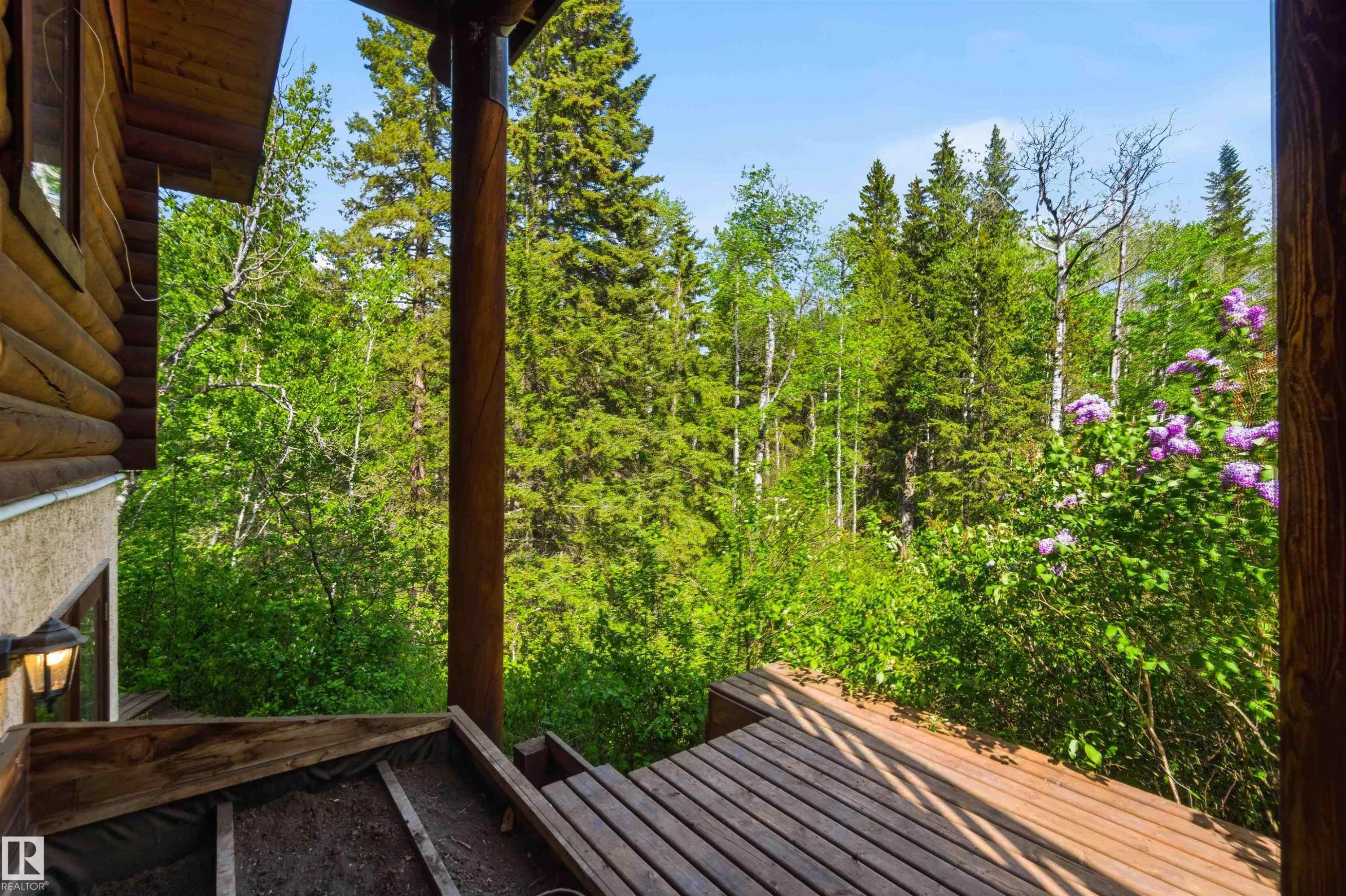 Wood-finish plank deck featuring a prominent log cabin-style exterior wall and an outdoor wall-mounted light fixture, all surrounded by dense, mature trees and foliage - #17 A 15031 Twp Road 462, Rural Wetaskiwin County, AB - Outdoor With Deck Patio Veranda
