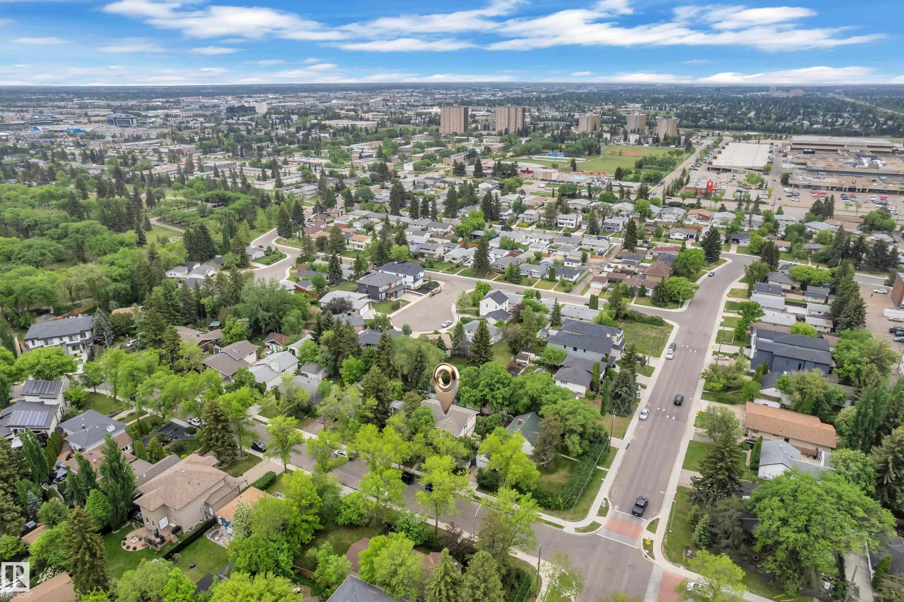 Aerial perspective showcasing a residential neighborhood with mature tree canopies - 10819 54 Avenue, Edmonton, AB