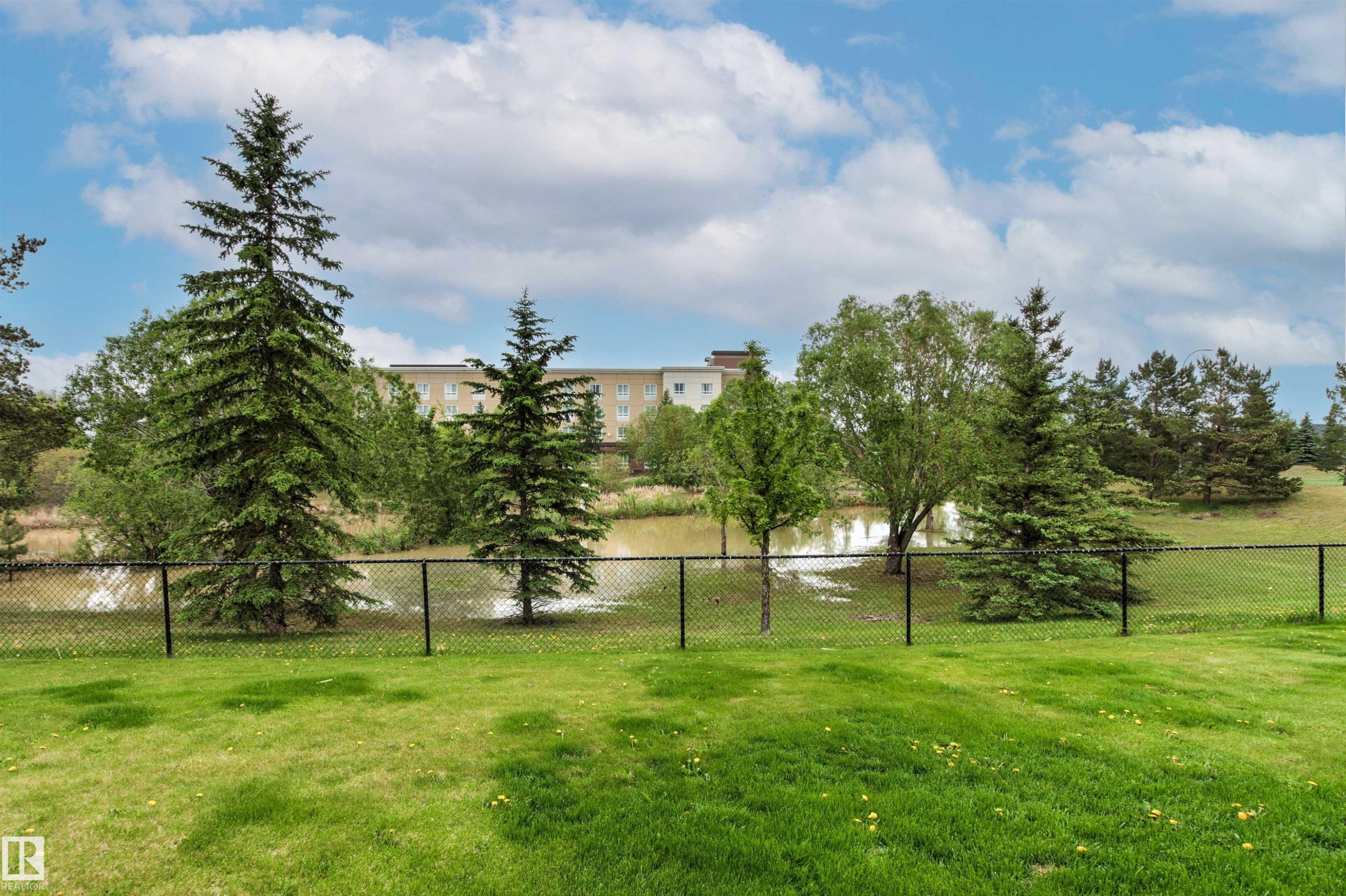 Expansive green lawn area featuring a black chain-link fence, mature evergreen trees, and a pond with surrounding foliage - 32 Lamplight Bay, Spruce Grove, AB