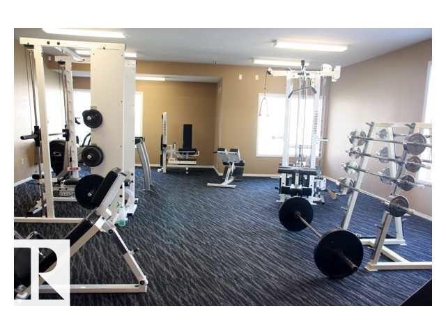 Fitness facility featuring blue patterned carpeting, multiple exercise machines, weight racks, and ample natural light from windows - 425 4304 139 Avenue, Edmonton, AB