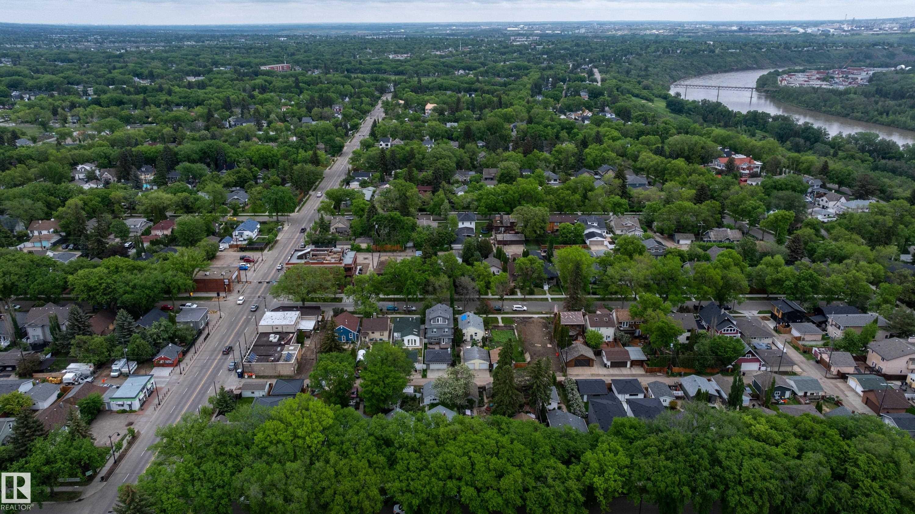 Expansive aerial perspective showcasing a verdant residential area with mature tree canopies - 11158 65 Street, Edmonton, AB