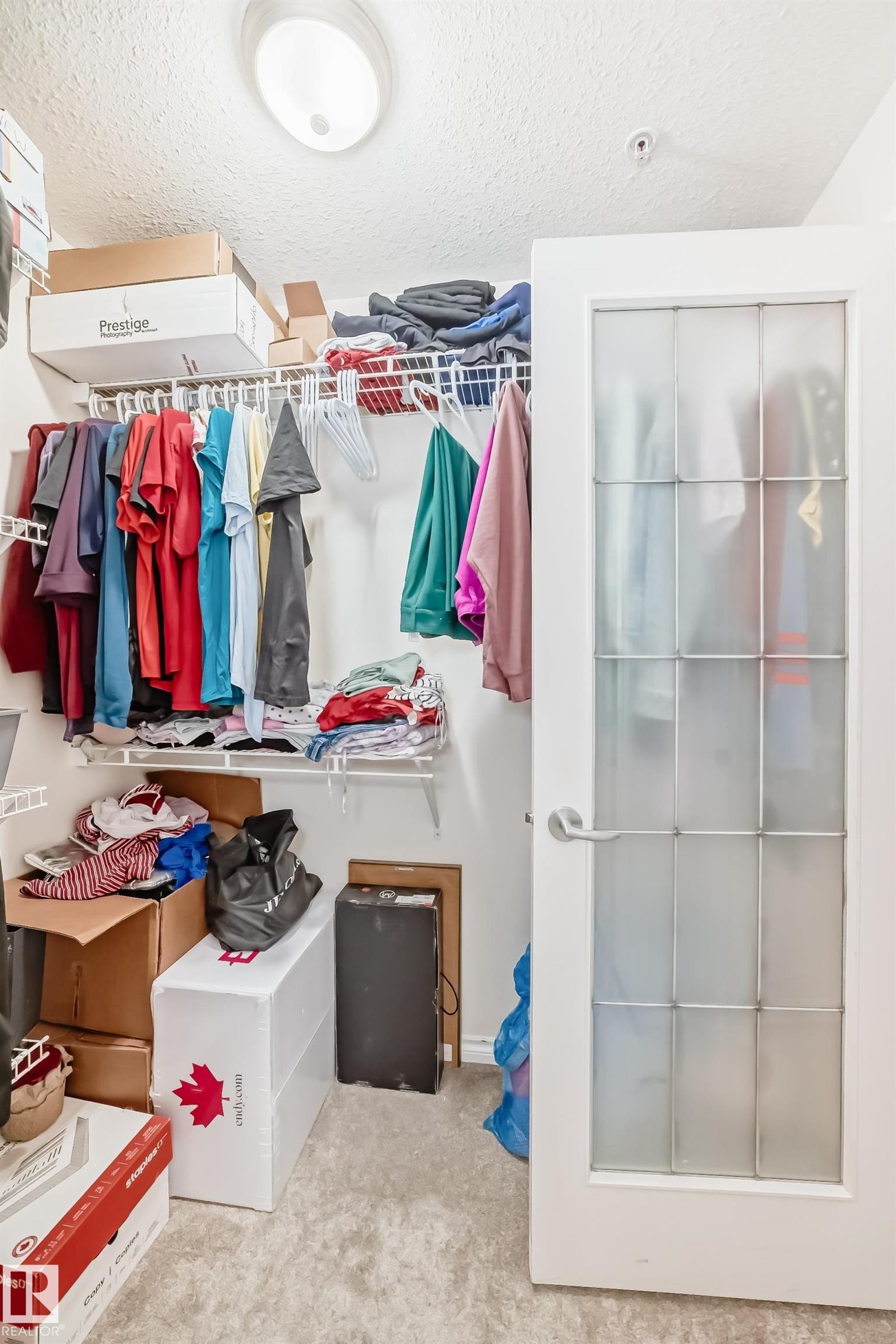Walk-in closet featuring wire shelving, wall-mounted hanging rods, and light-toned carpet flooring - 214 9938 104 Street, Edmonton, AB