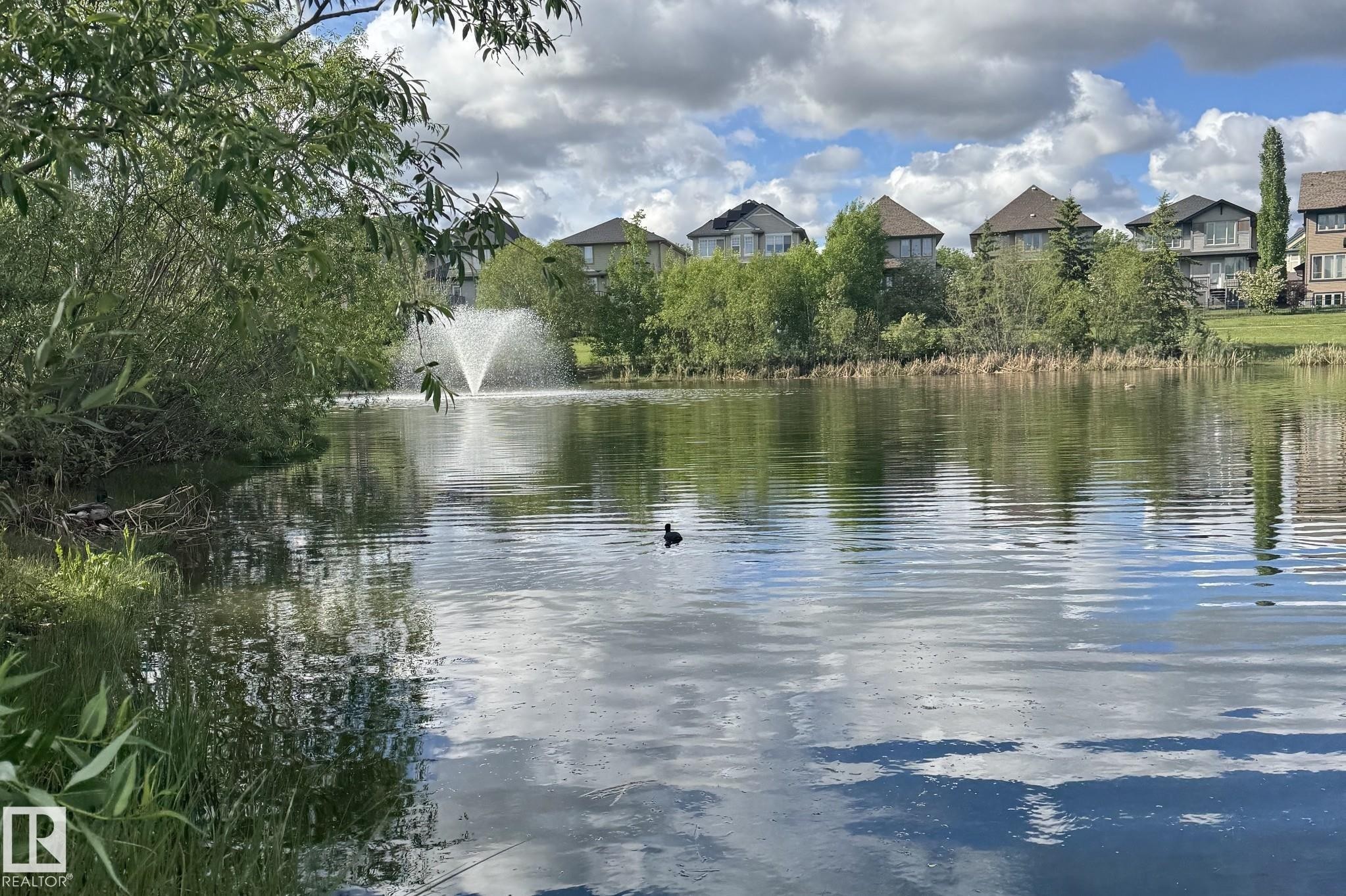Tranquil waterscape featuring a central fountain - 217 2588 Anderson Way, Edmonton, AB