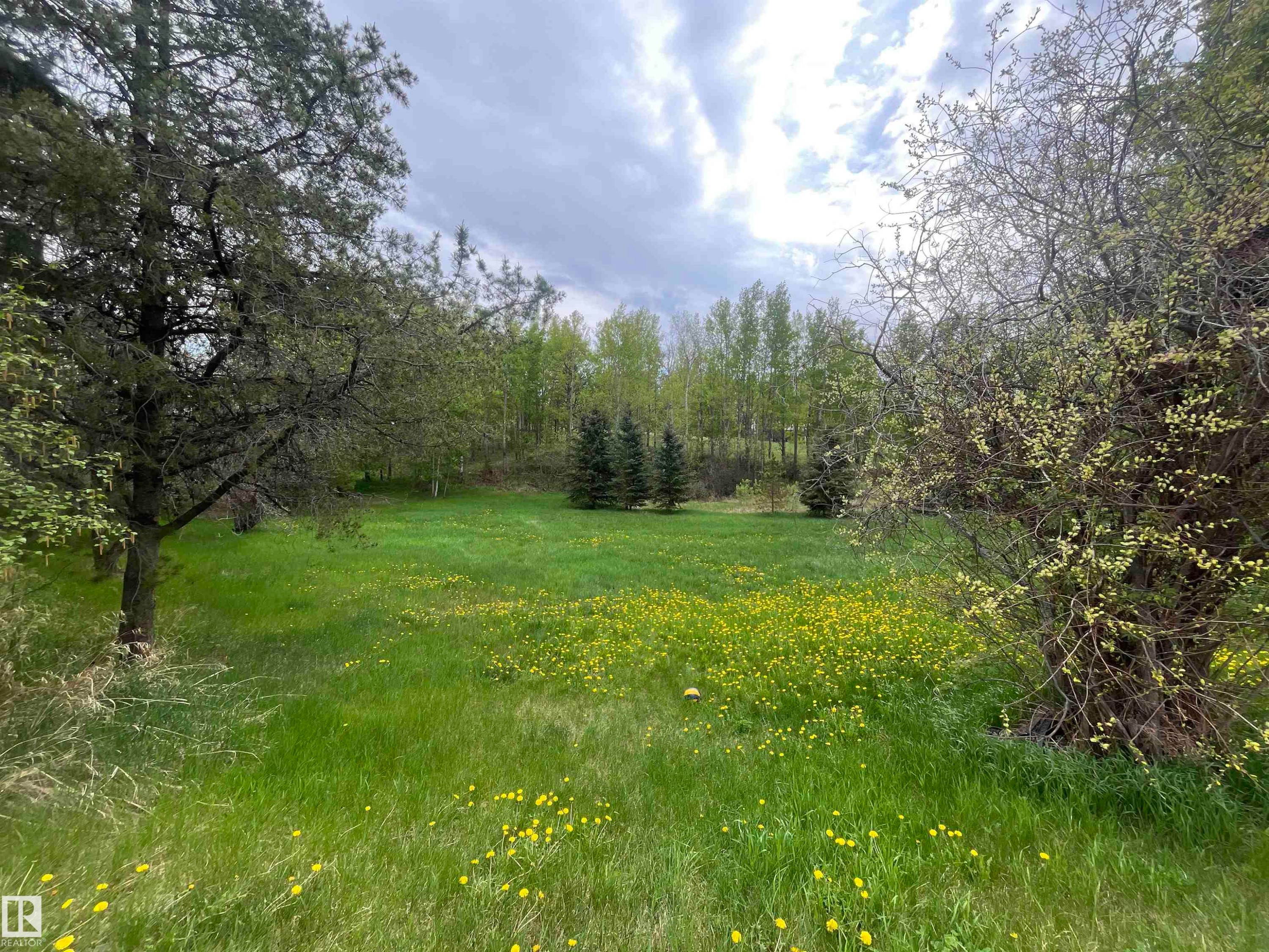 Expansive green lawn with scattered yellow wildflowers - 27 52330 Rge Road 15, Rural Parkland County, AB