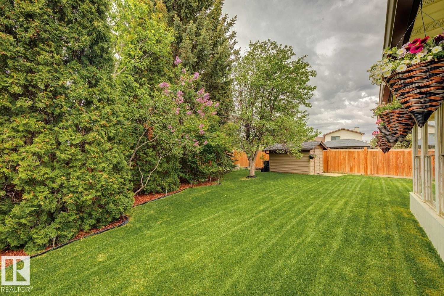 Expansive lawn area featuring mature evergreen trees and a flowering shrub border - 15804 80 Street, Edmonton, AB