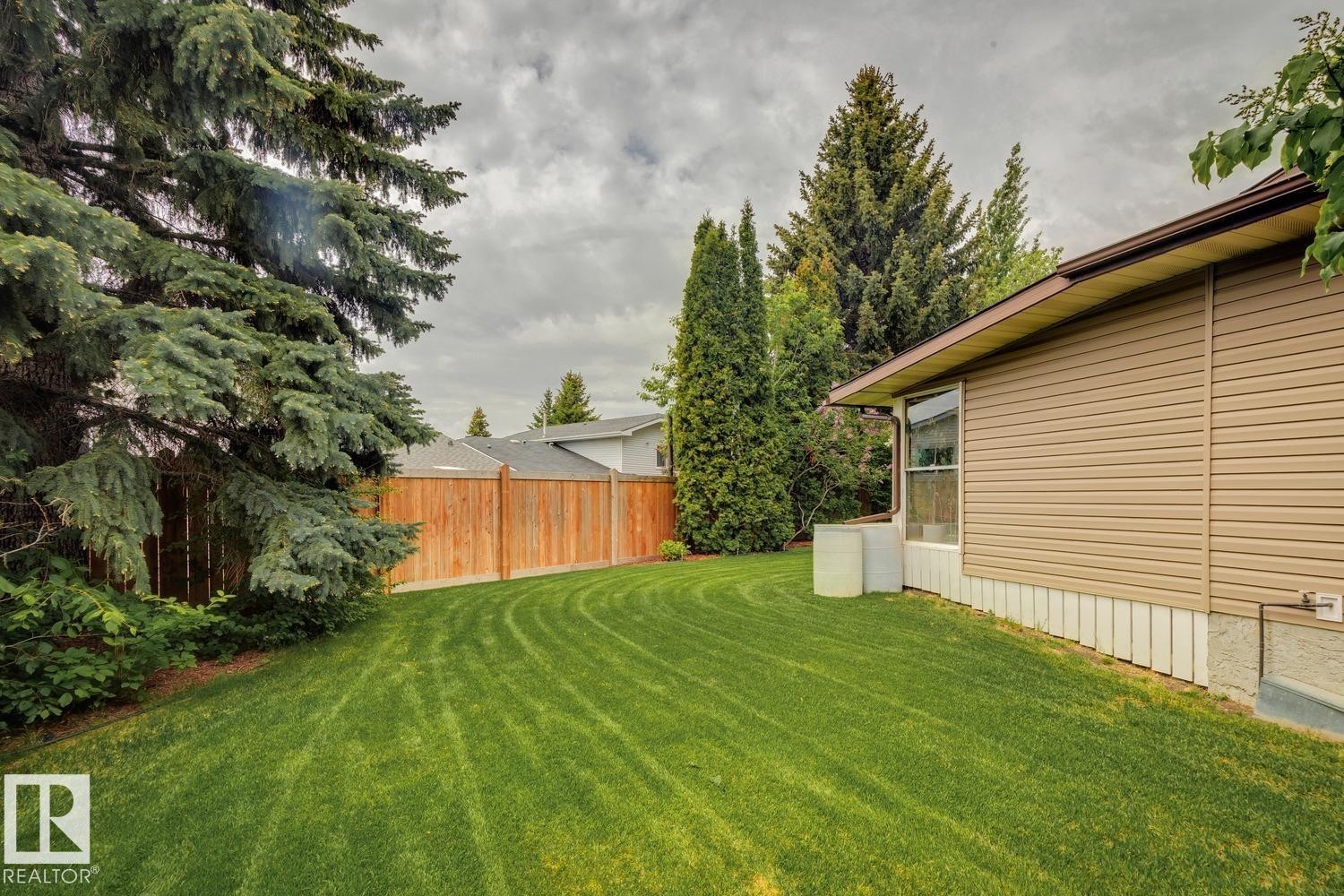 Massive south-facing backyard with a new fence and mature evergreen trees - 15804 80 Street, Edmonton, AB