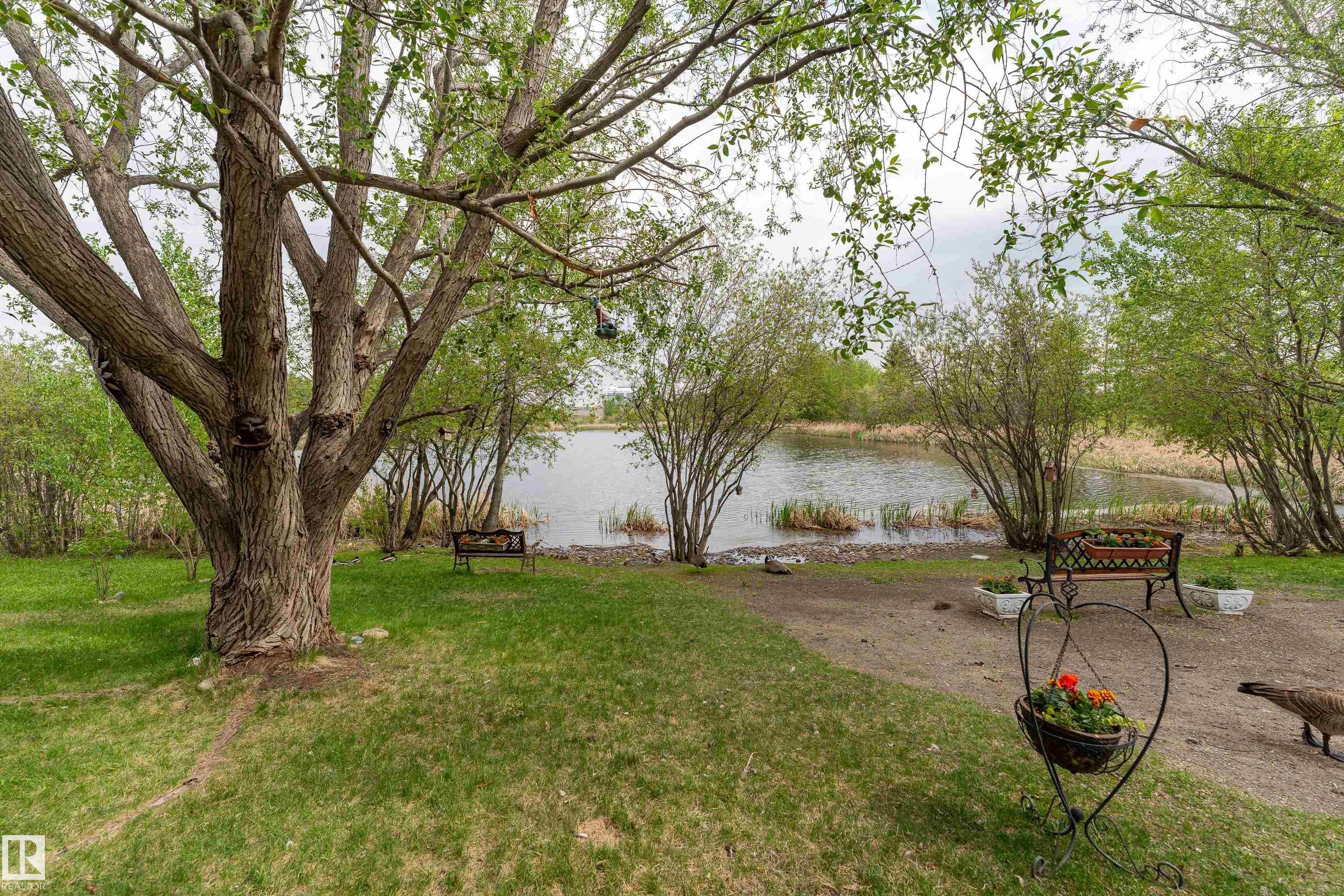 520 Pardee Bay Nw, Edmonton, AB - Outdoor
