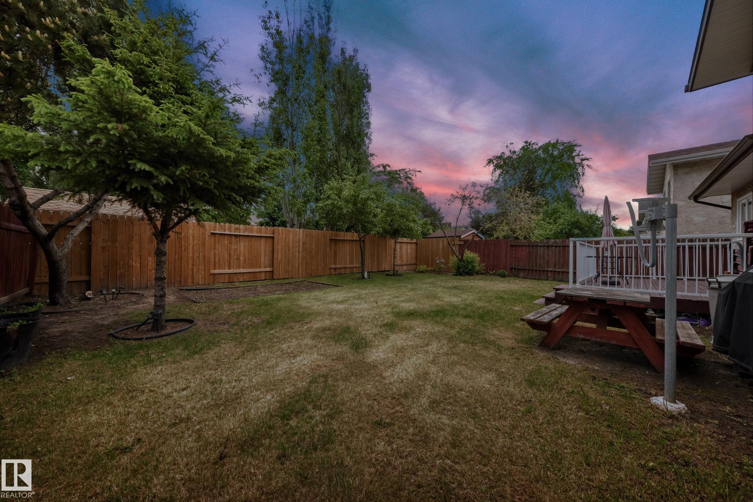 Expansive backyard featuring a wood fence, mature trees, and a raised wood deck with white railings - 3843 47 Street Nw, Edmonton, AB - Outdoor