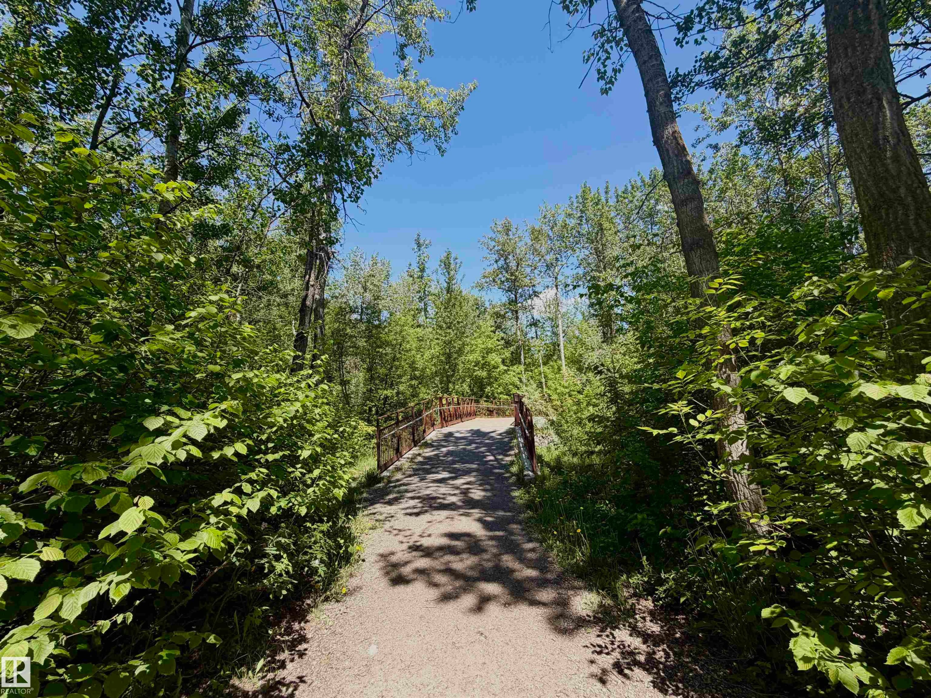 Wooded pathway surrounded by lush foliage, featuring a rustic bridge structure - 3843 47 Street Nw, Edmonton, AB - Outdoor