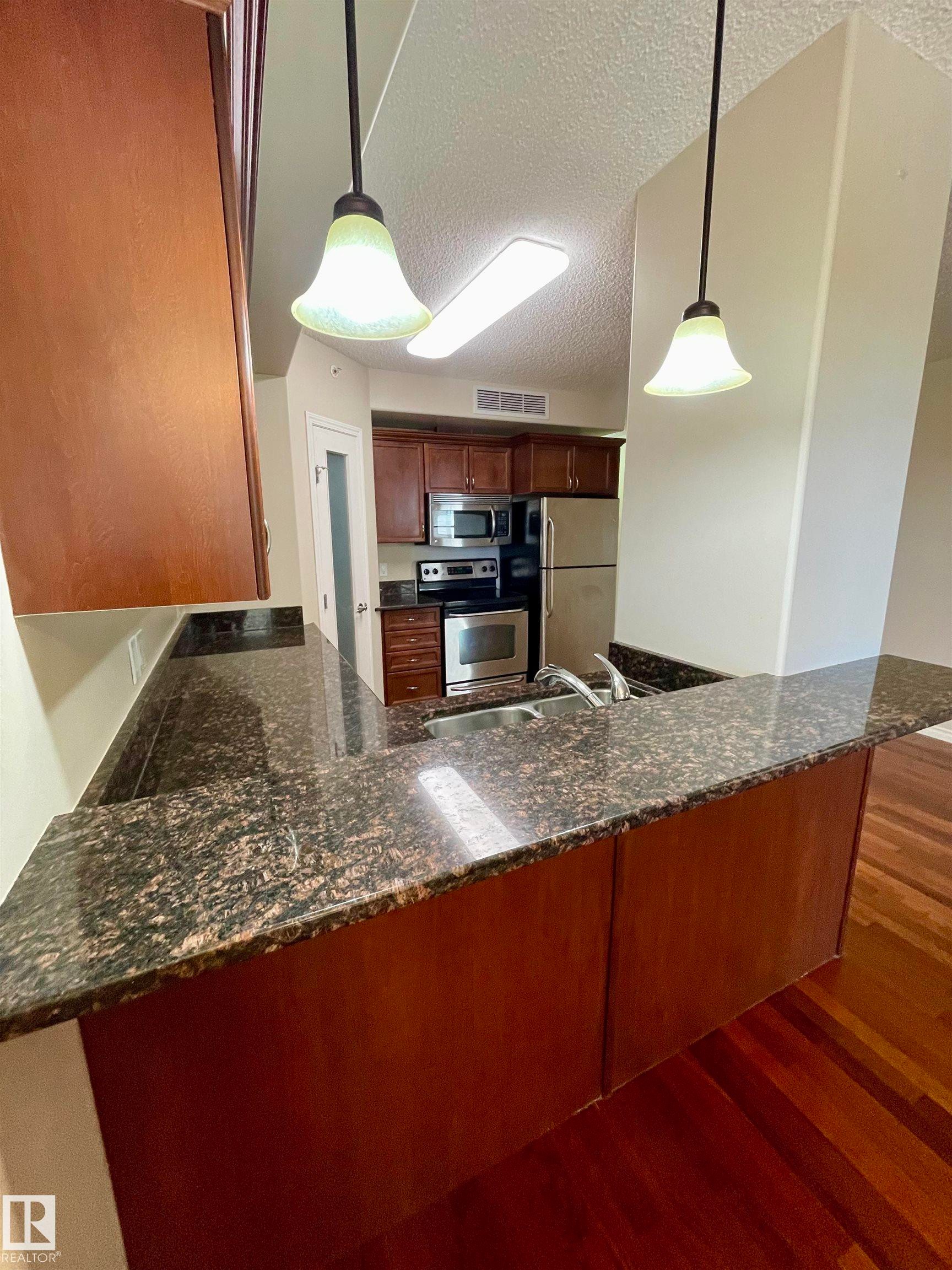 #205 9707 106 St Nw, Edmonton, AB - Indoor Photo Showing Kitchen With Double Sink