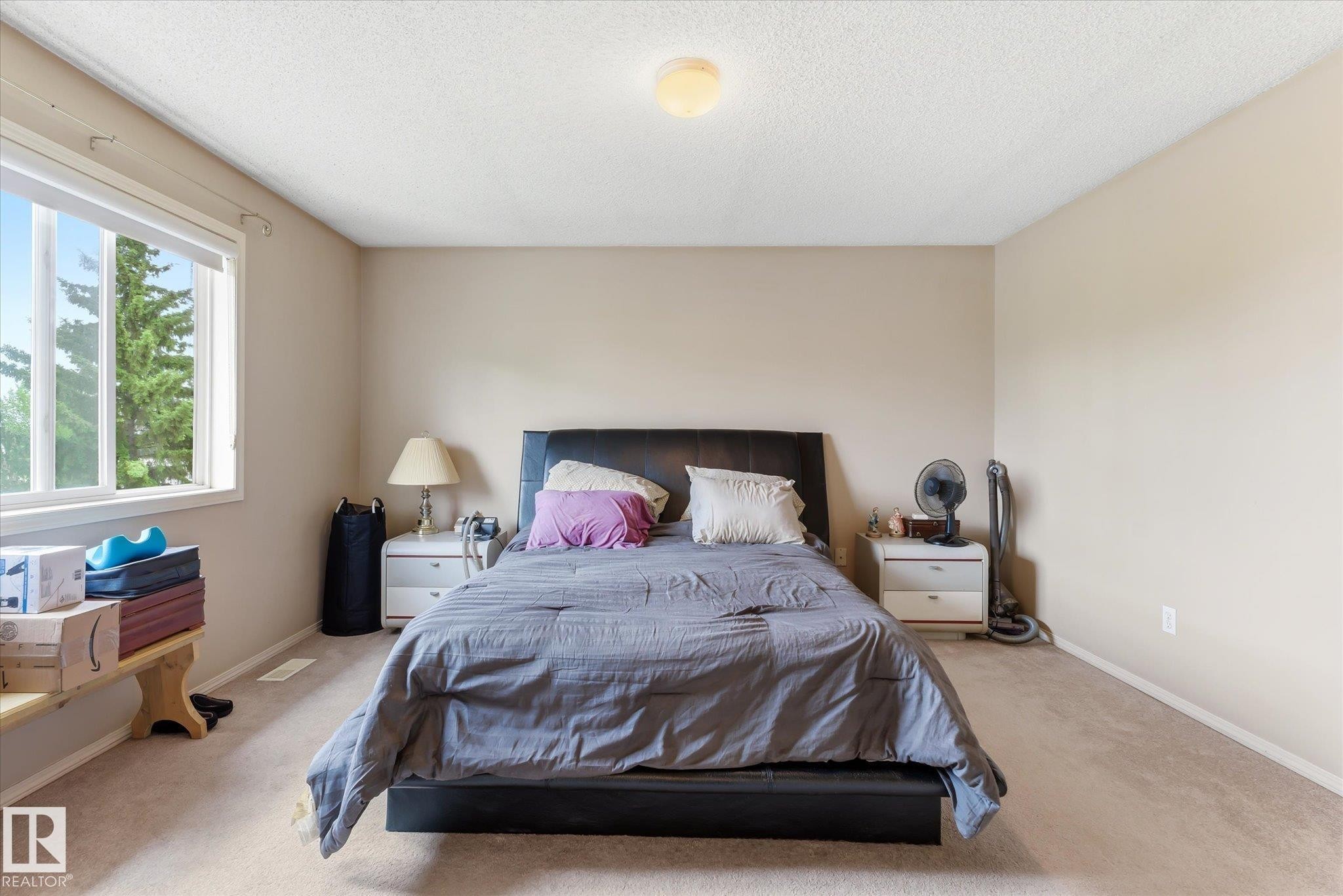 Carpeted bedroom featuring a large window, neutral wall paint, a flush-mount ceiling light, and white baseboards - #37 4020 21 St Nw, Edmonton, AB - Indoor Photo Showing Bedroom