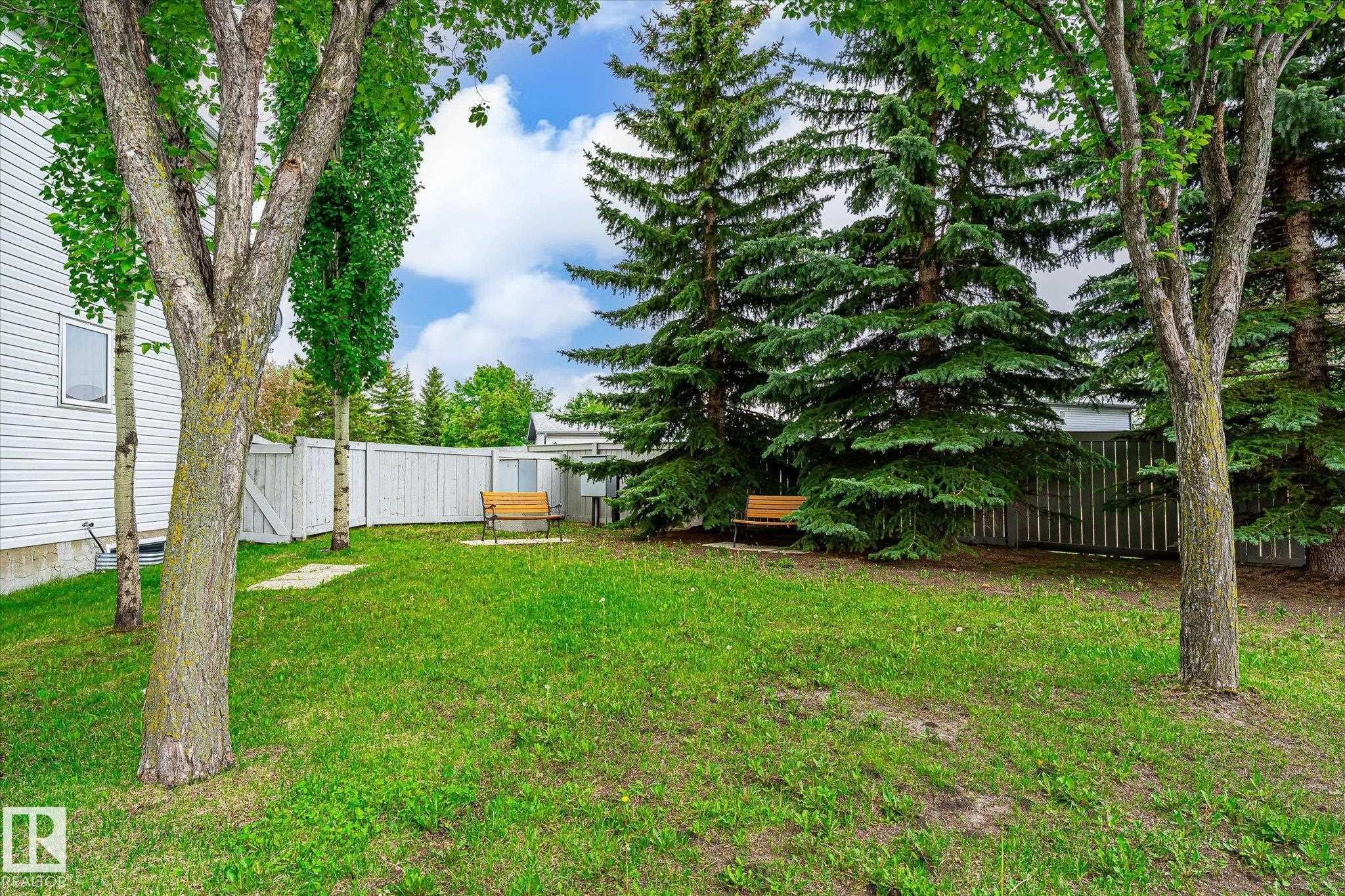 Grassy outdoor space featuring a white privacy fence, mature evergreen trees, and a light-colored wood-slat bench - #37 4020 21 St Nw, Edmonton, AB - Outdoor