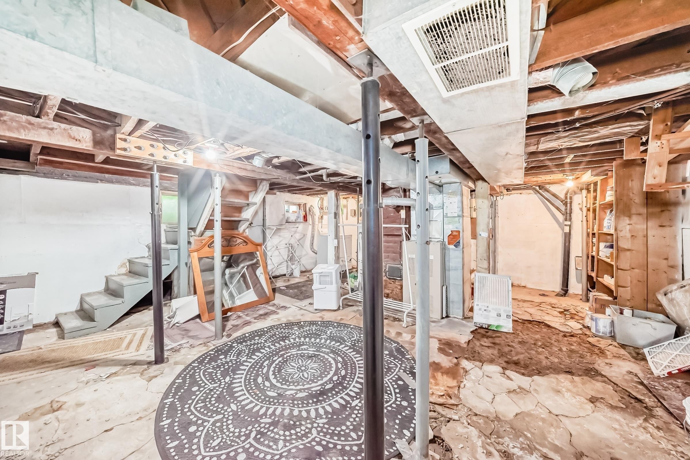 10748 123 Street Nw, Edmonton, AB - Indoor Photo Showing Basement