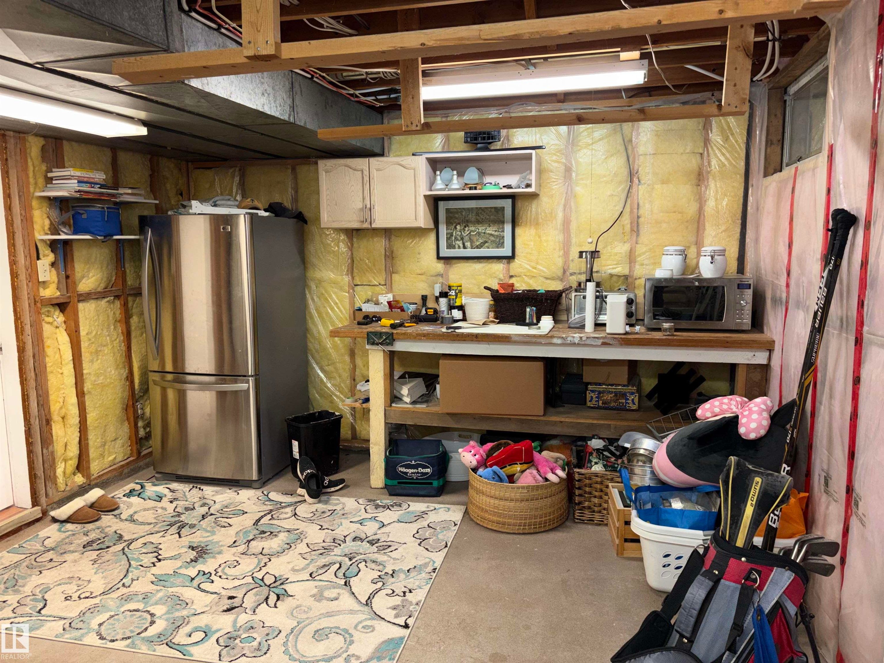 14016 85 Avenue Nw, Edmonton, AB - Indoor Photo Showing Basement
