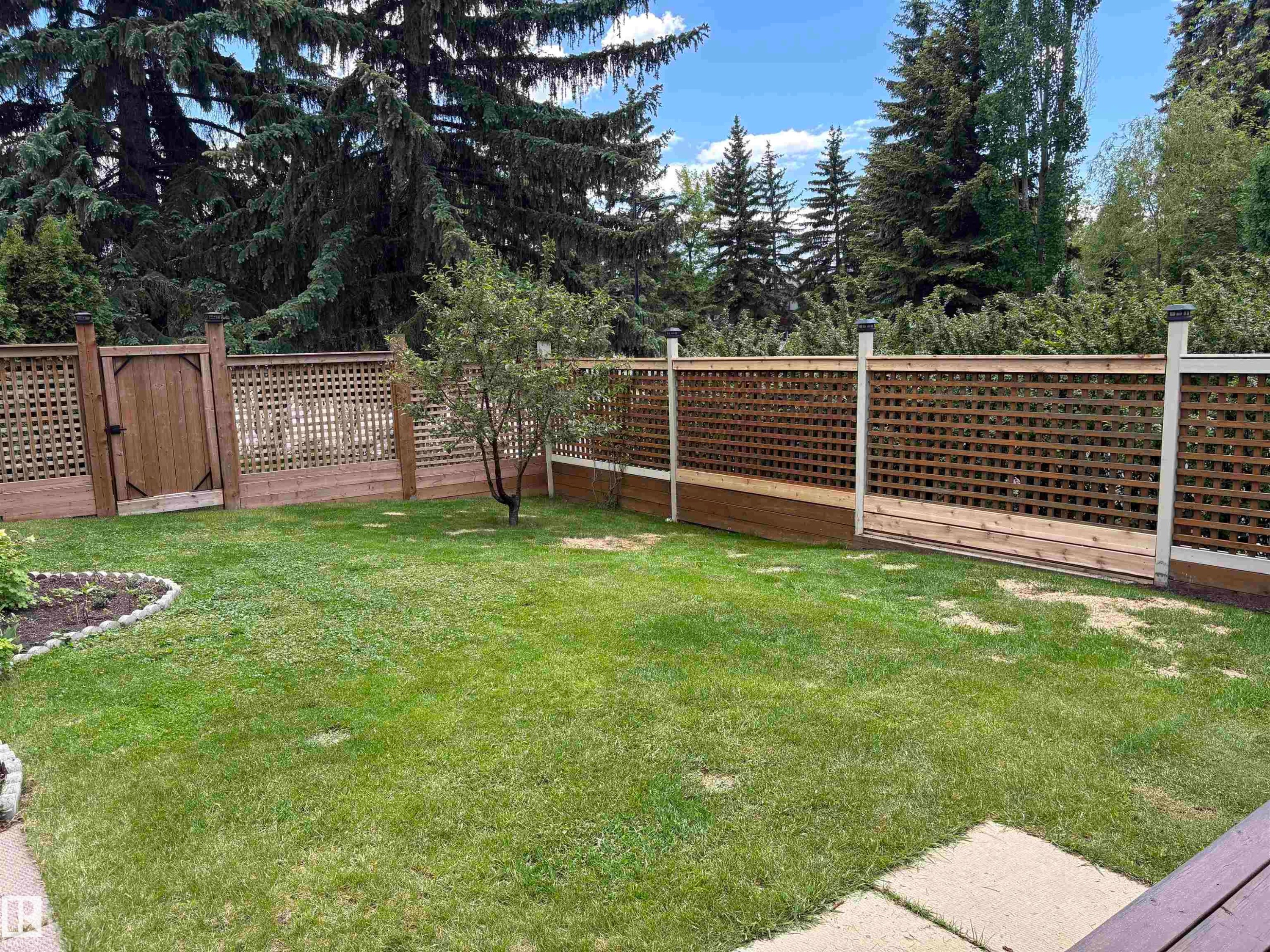 Expansive backyard featuring a manicured lawn, a wood lattice fence, a wood gate, a small tree, and a planter bed with stone edging - 14016 85 Avenue Nw, Edmonton, AB - Outdoor
