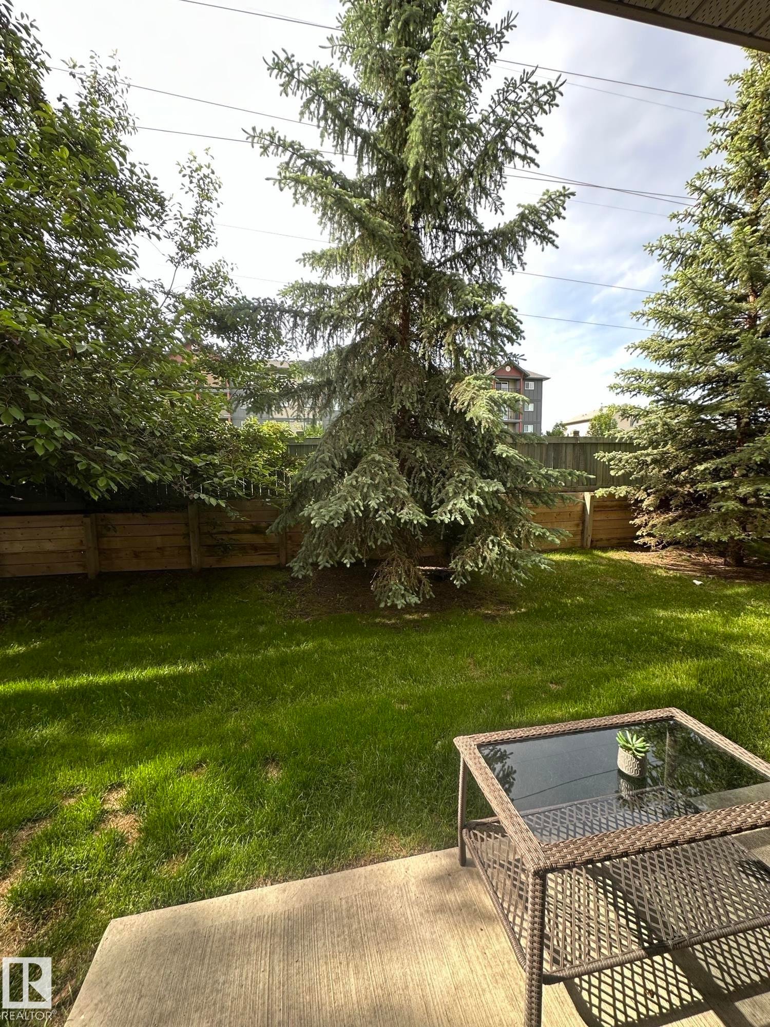 Spacious backyard with a concrete patio, mature evergreen trees, and a wooden privacy fence - 116 5005 165 Avenue, Edmonton, AB