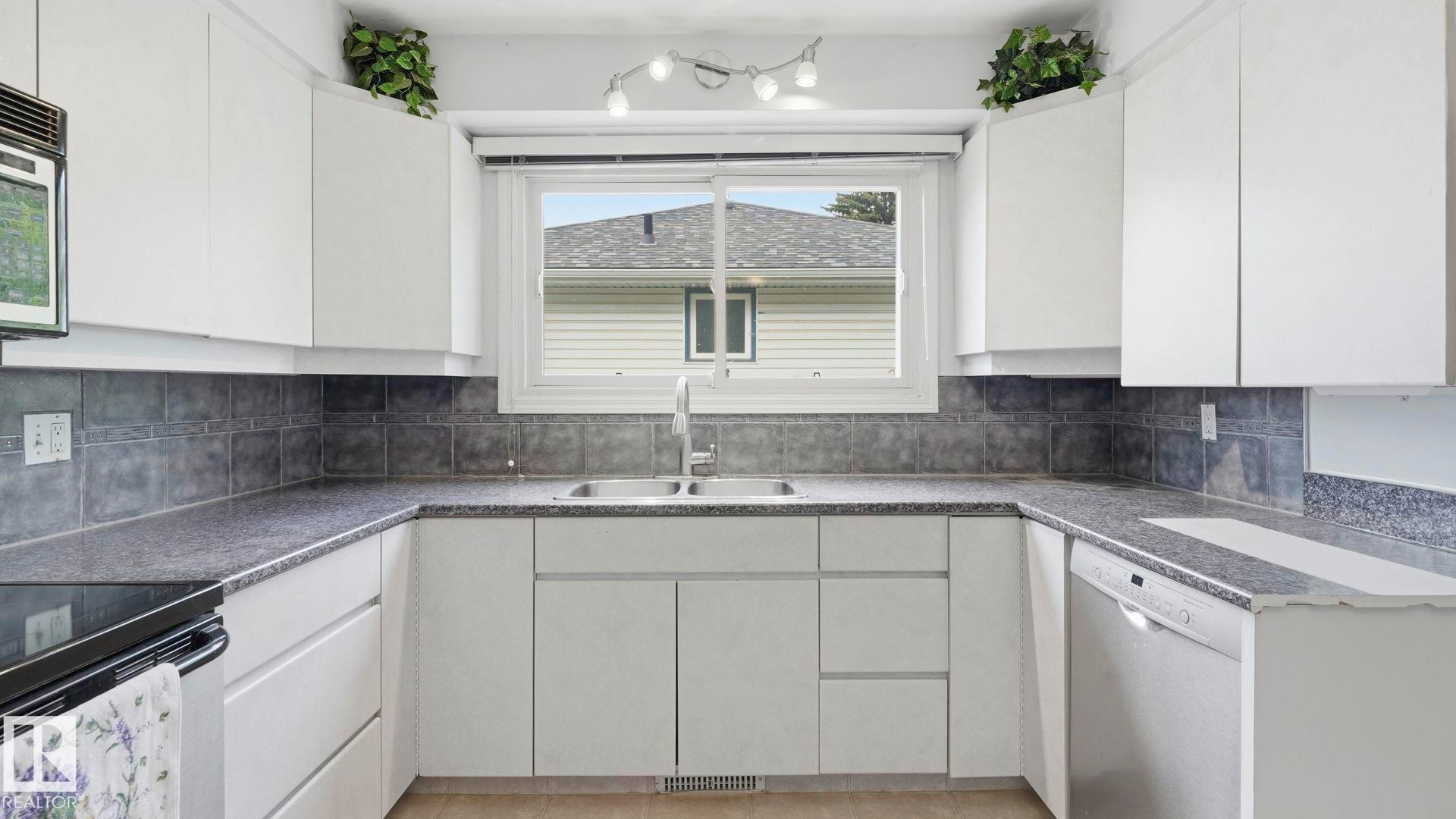 Kitchen - 13008 105 Street Nw, Edmonton, AB - Indoor Photo Showing Kitchen With Double Sink